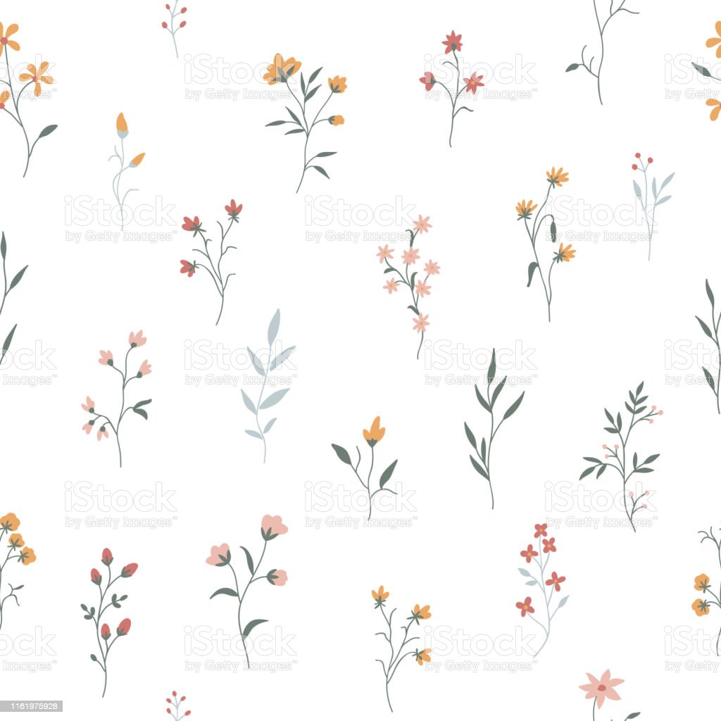 Cute Floral Pattern Seamless Background Stock Illustration Image Now, Flower, Floral Pattern