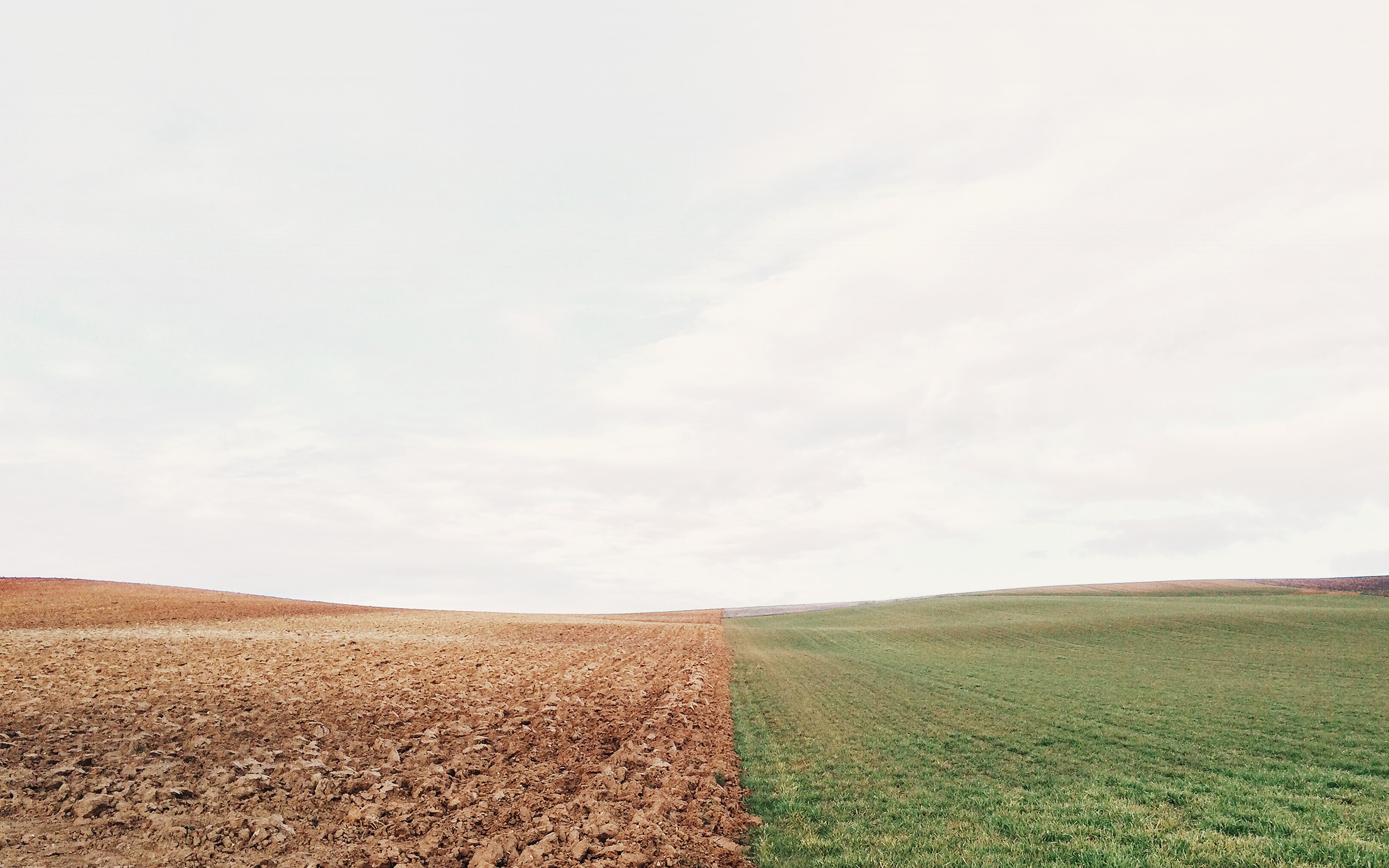 wallpaper for desktop, laptop. barren land green field nature