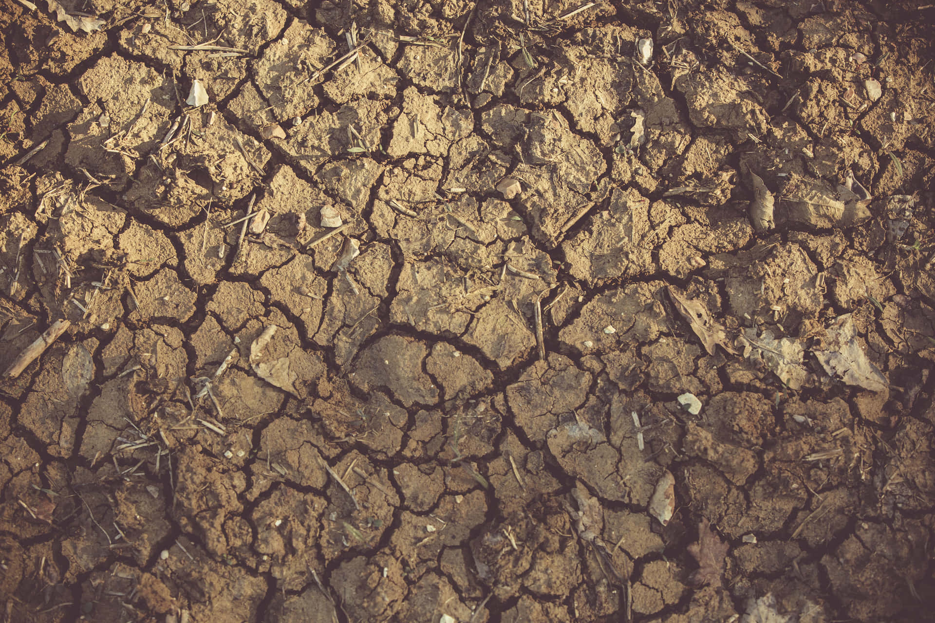 Download Dry Mud Cracked Soil Barren Land Wallpaper