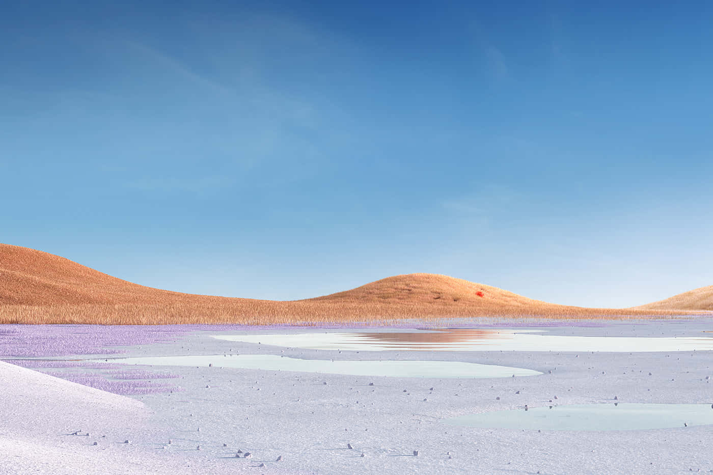 Download Barren Land With Superficial Water Wallpaper