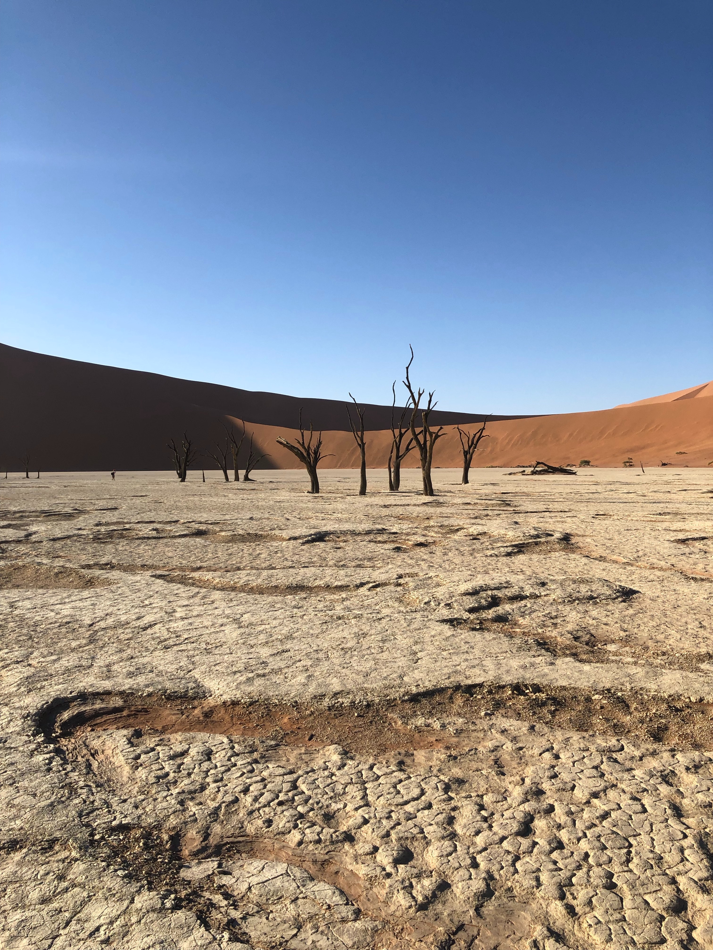 A Barren Wasteland · Free