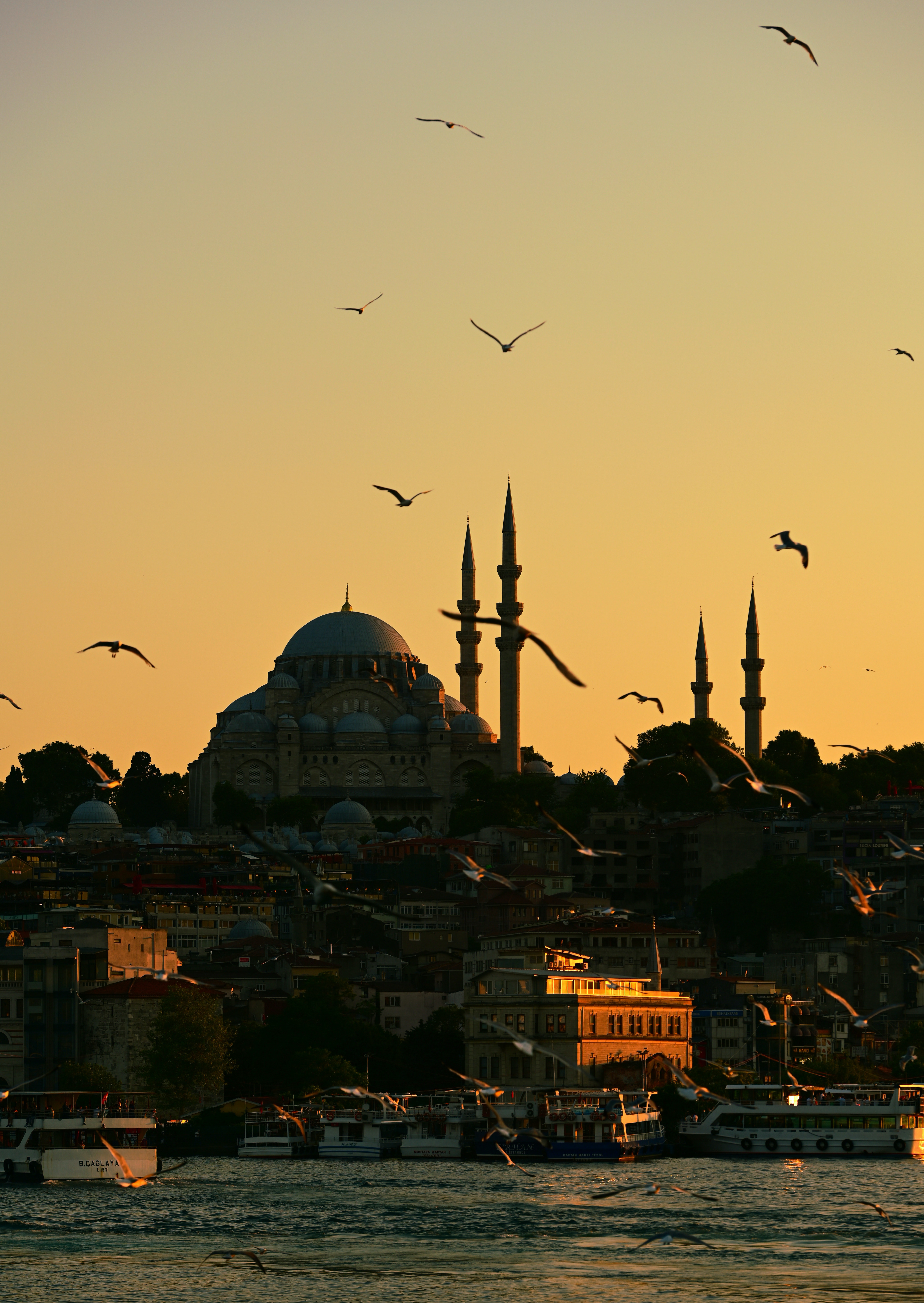 Skyline of Istanbul, Turkey · Free