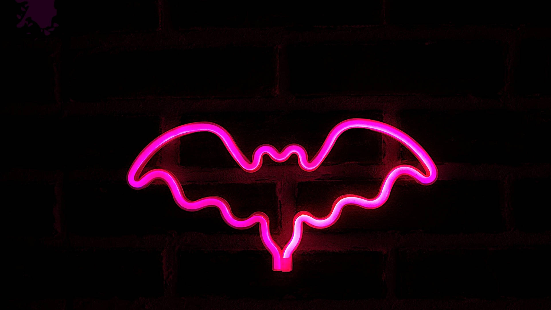 Download Neon Pink Aesthetic Flying Bat Wallpaper