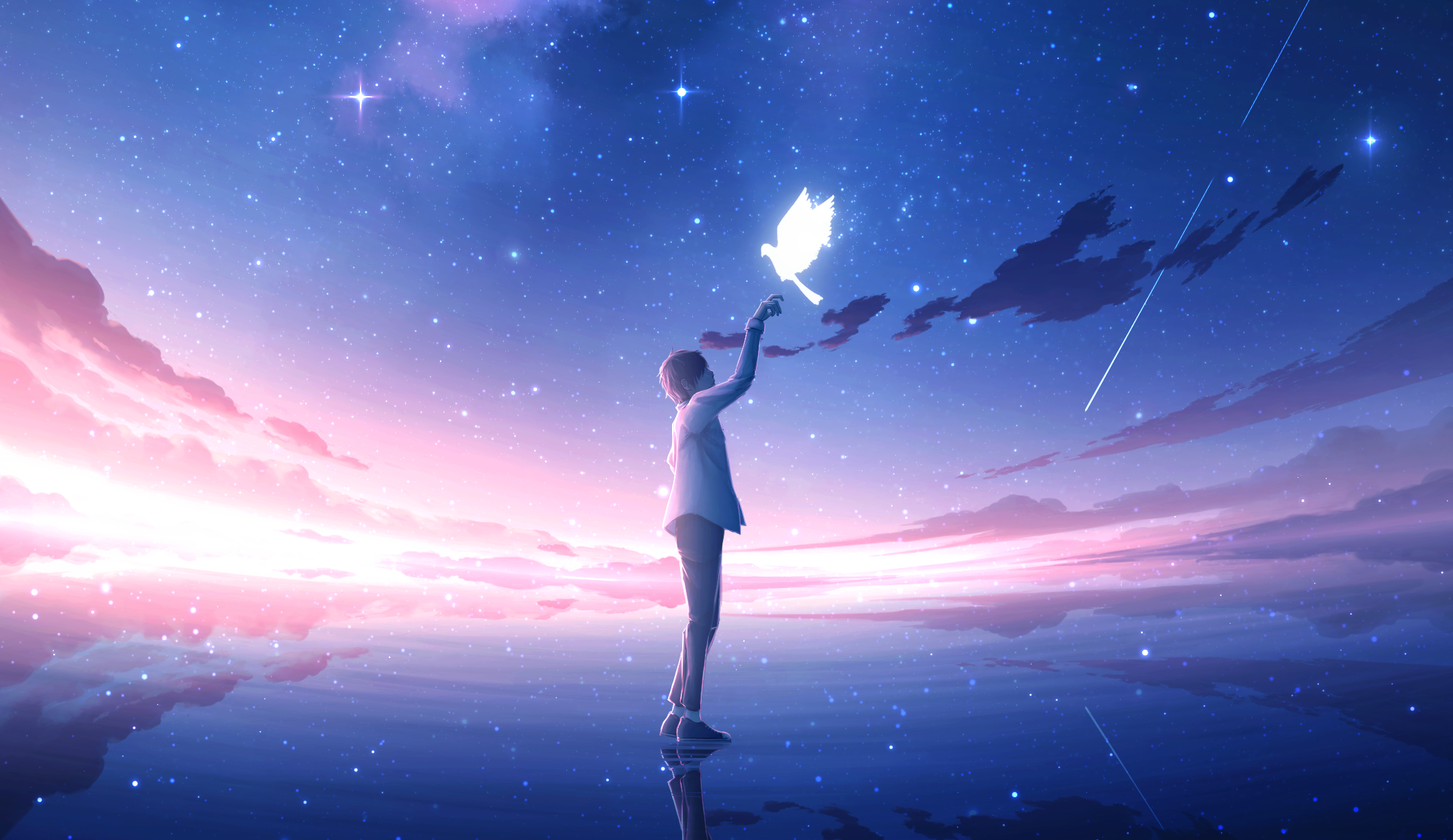 Starry Night Anime Boys Anime Reflection Stars Birds Wallpaper:2160x1250