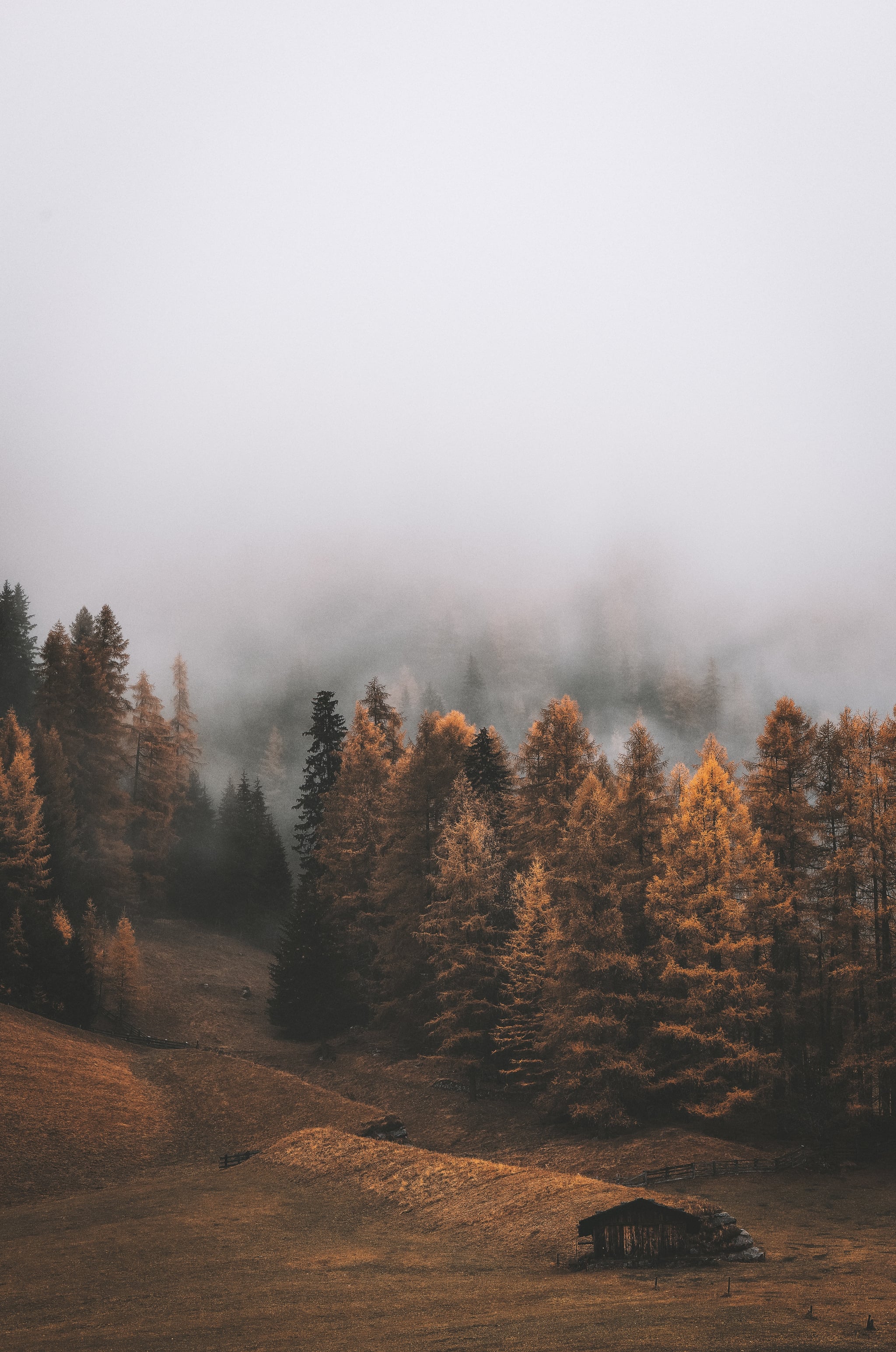 Fall Background: Ominous iPhone Wallpaper Fall iPhone Wallpaper That'll Instantly Make You Feel Cozy