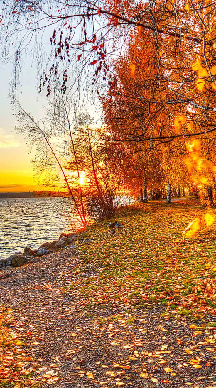 favorite water fall wallpaper iphone 12 pro max background