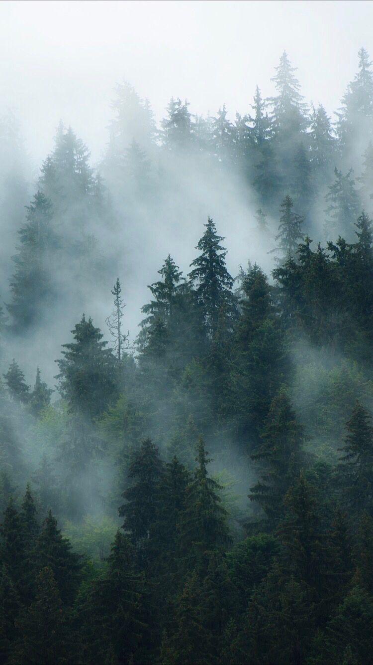 Foggy iPhone Wallpaper