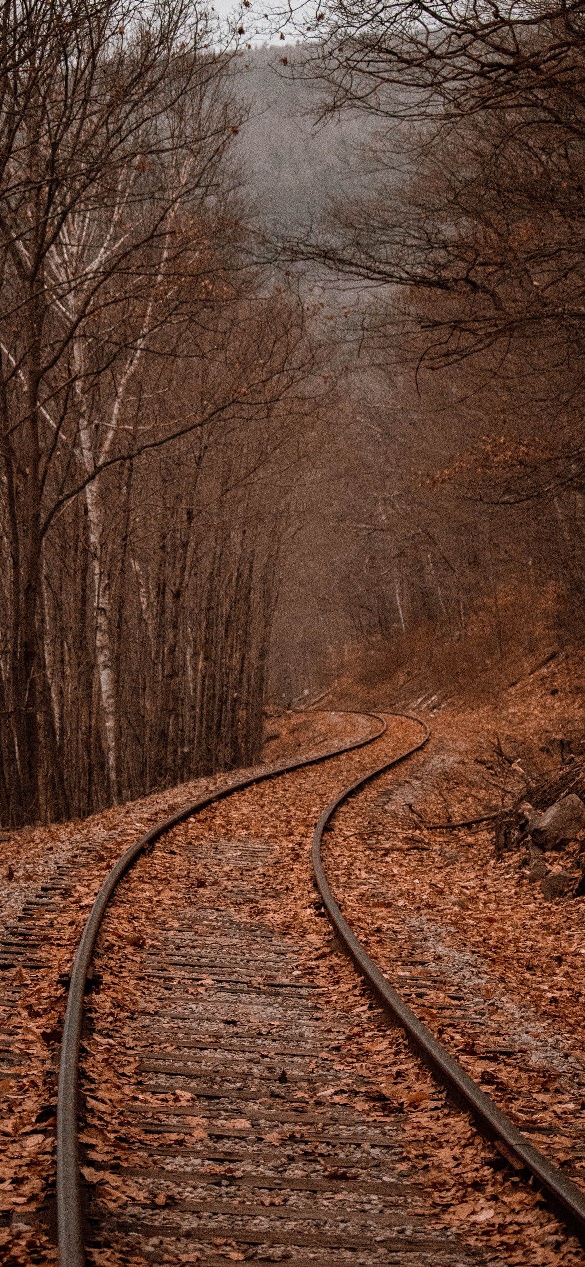 iPhone Autumn Wallpaper