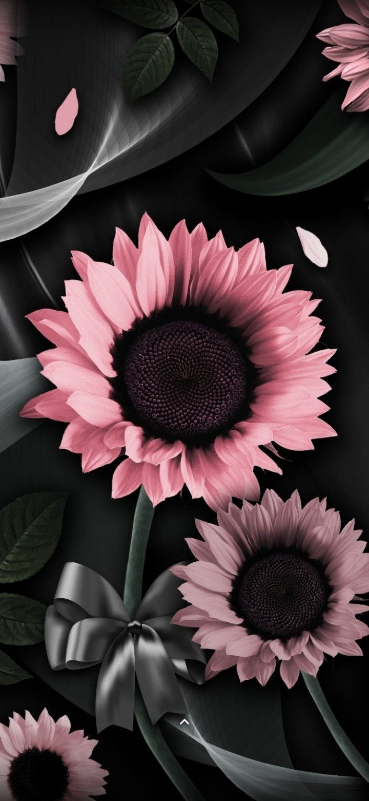 Flowers Wallpaper. Sunflower wallpaper, Flowers photography wallpaper, Cute flower wallpaper