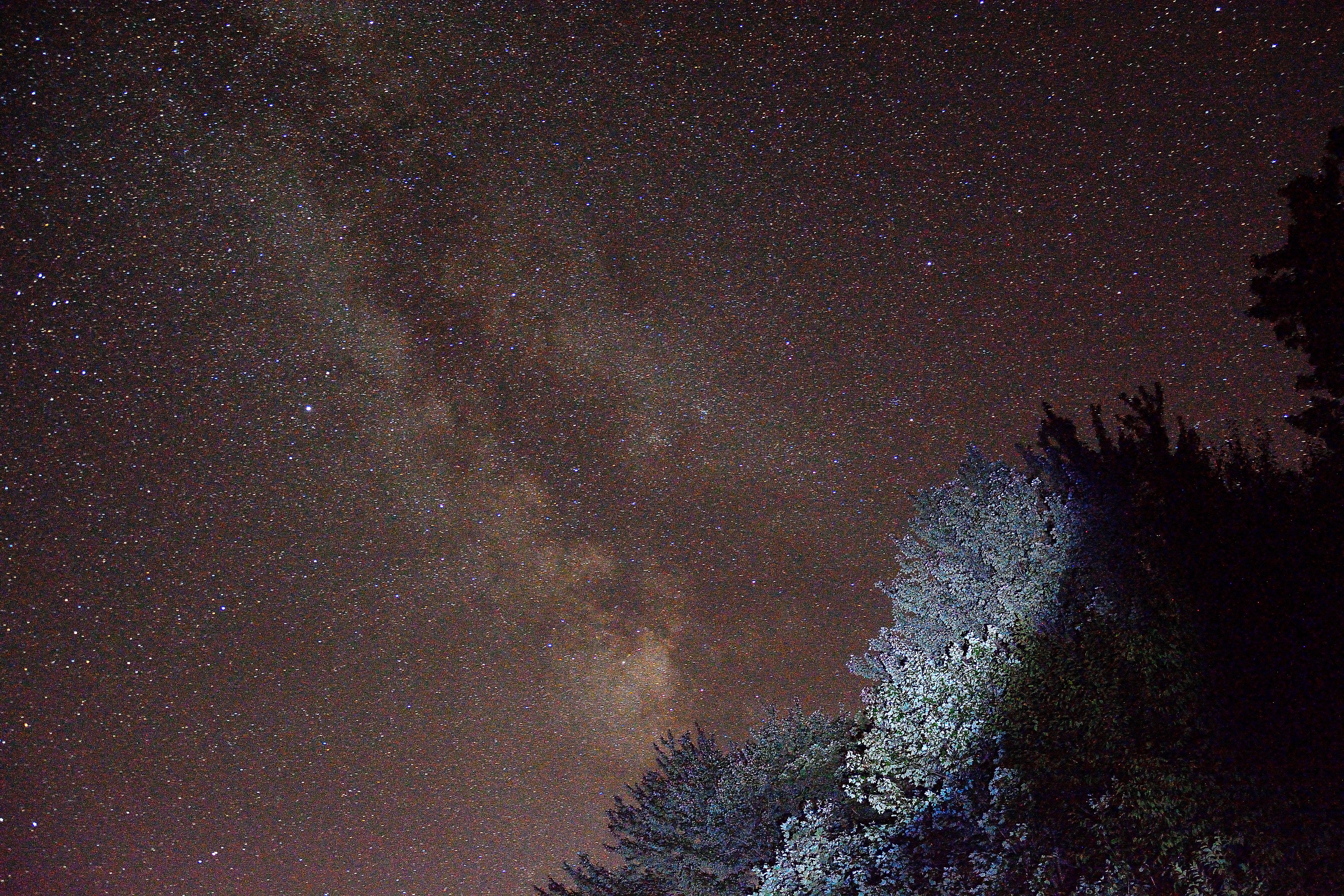 Wallpaper, coyote, summer, night, mi, stars, still, Quiet, time, august, galaxy, fernridge, milkyway, innumerable 6000x4000