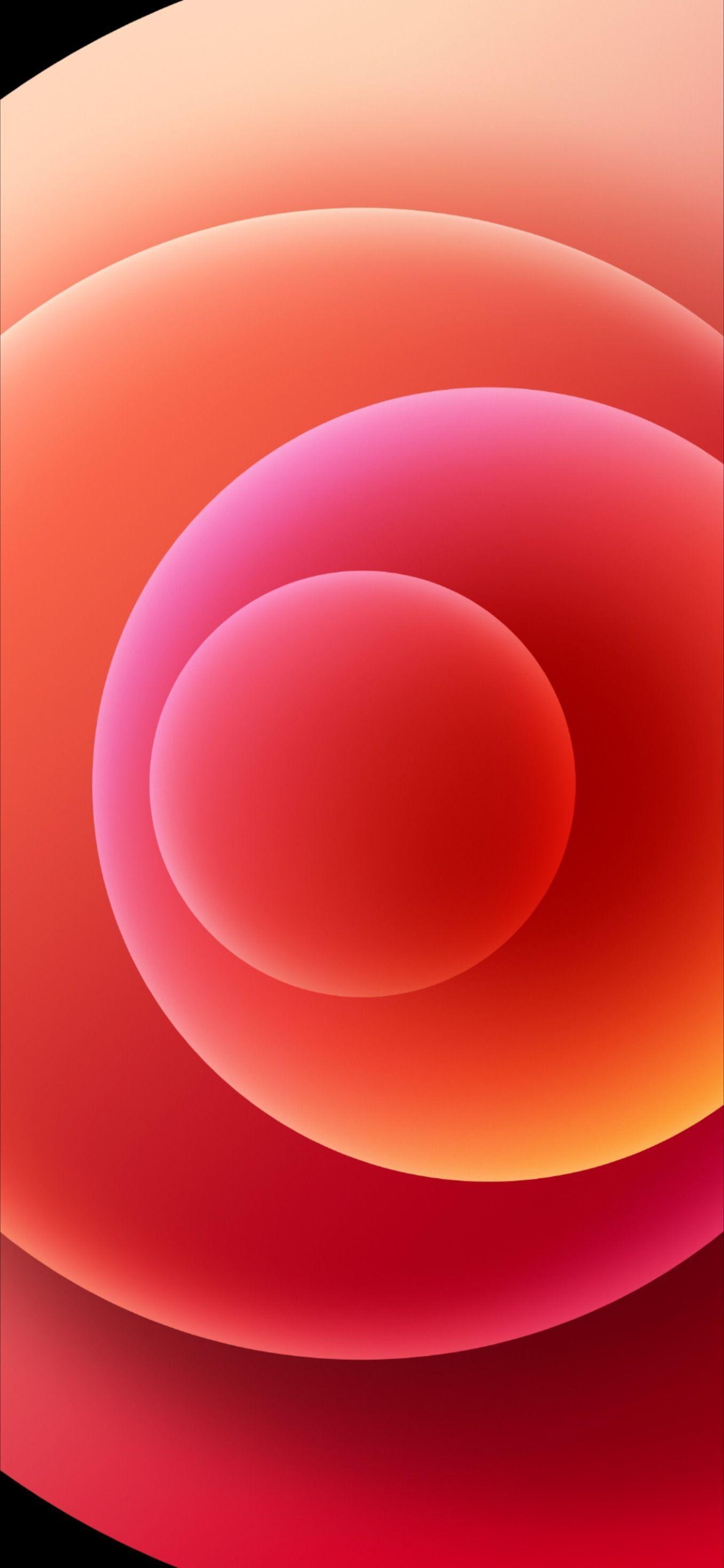 iPhone 12 Mini Wallpaper