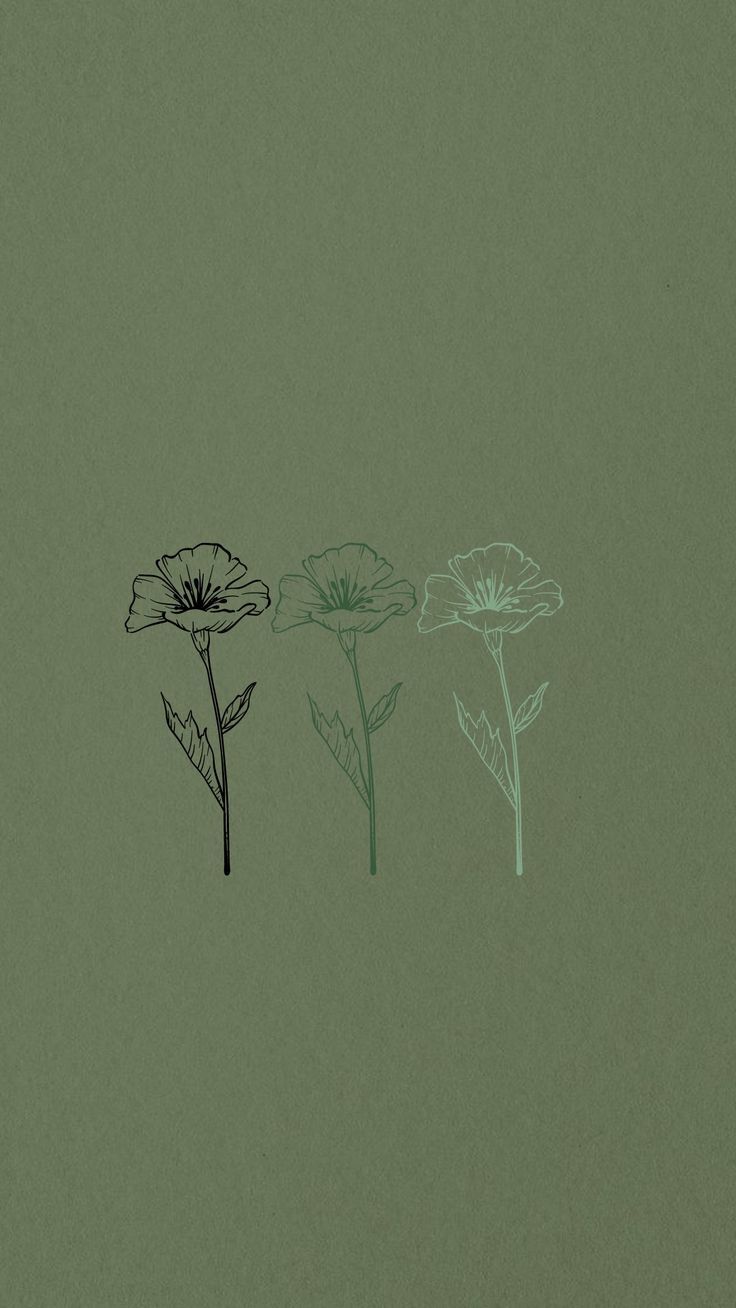 happiness Mint green wallpaper iPhone wallpaper green Sage green wallpaper Wallpaper Download