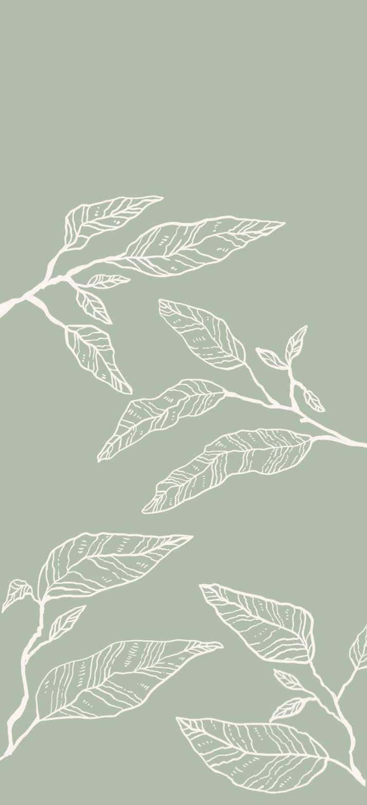 Download Experience a timeless shade of green with this exquisite sage green wallpaper