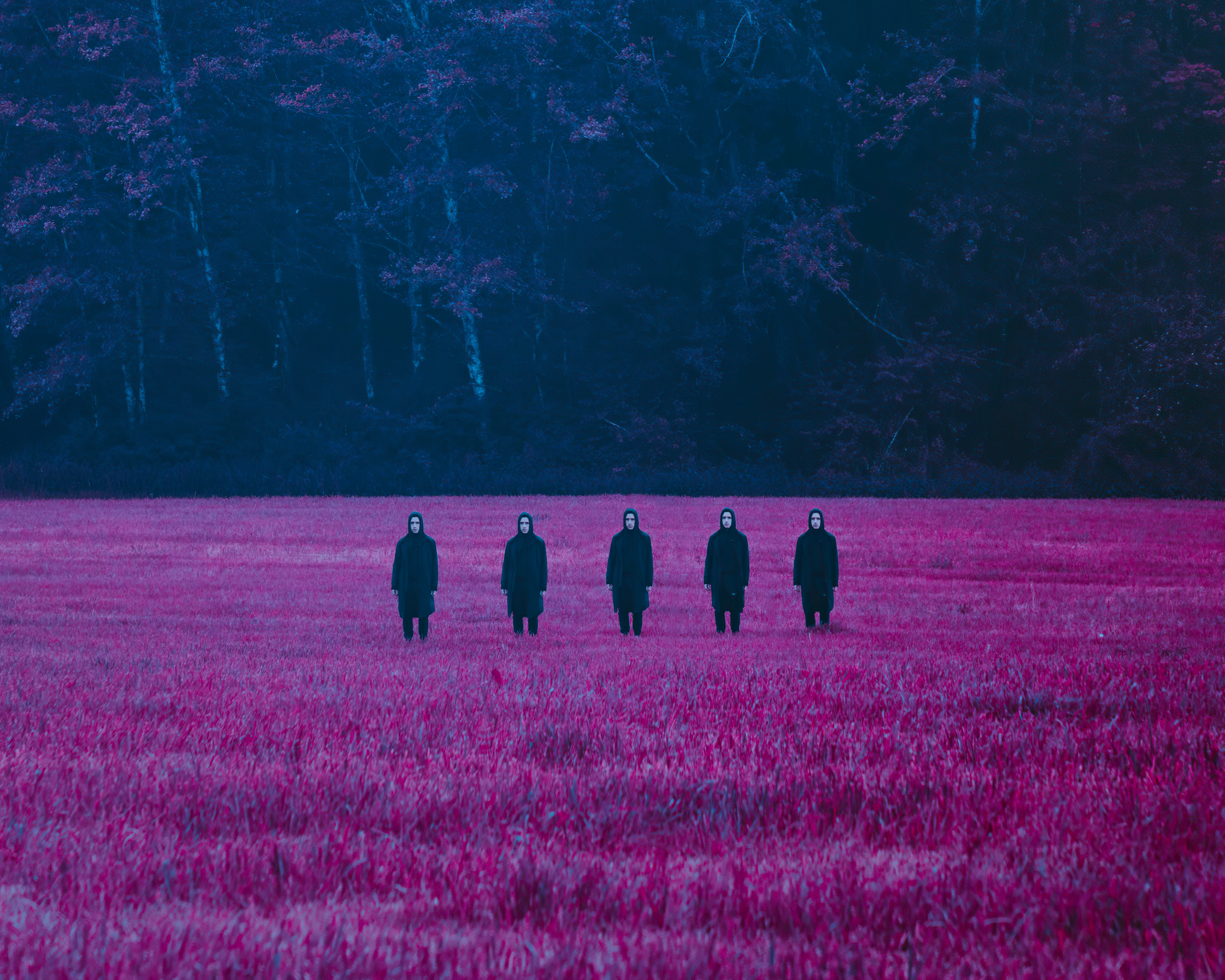 Wallpaper 4k No Way With Words 4k Wallpaper