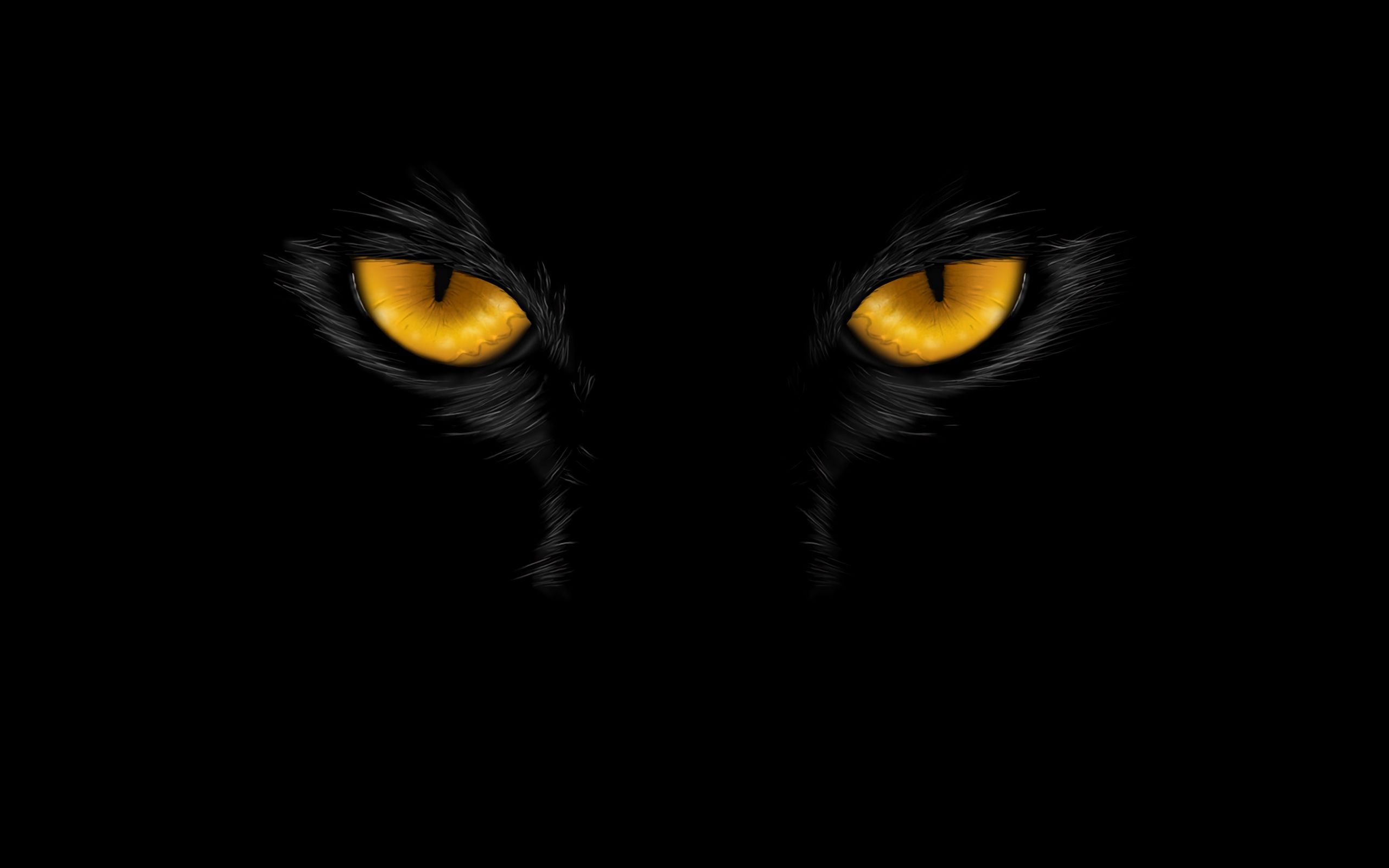 Download wallpaper 2560x1600 eyes, black, dark, art widescreen 16:10 HD background