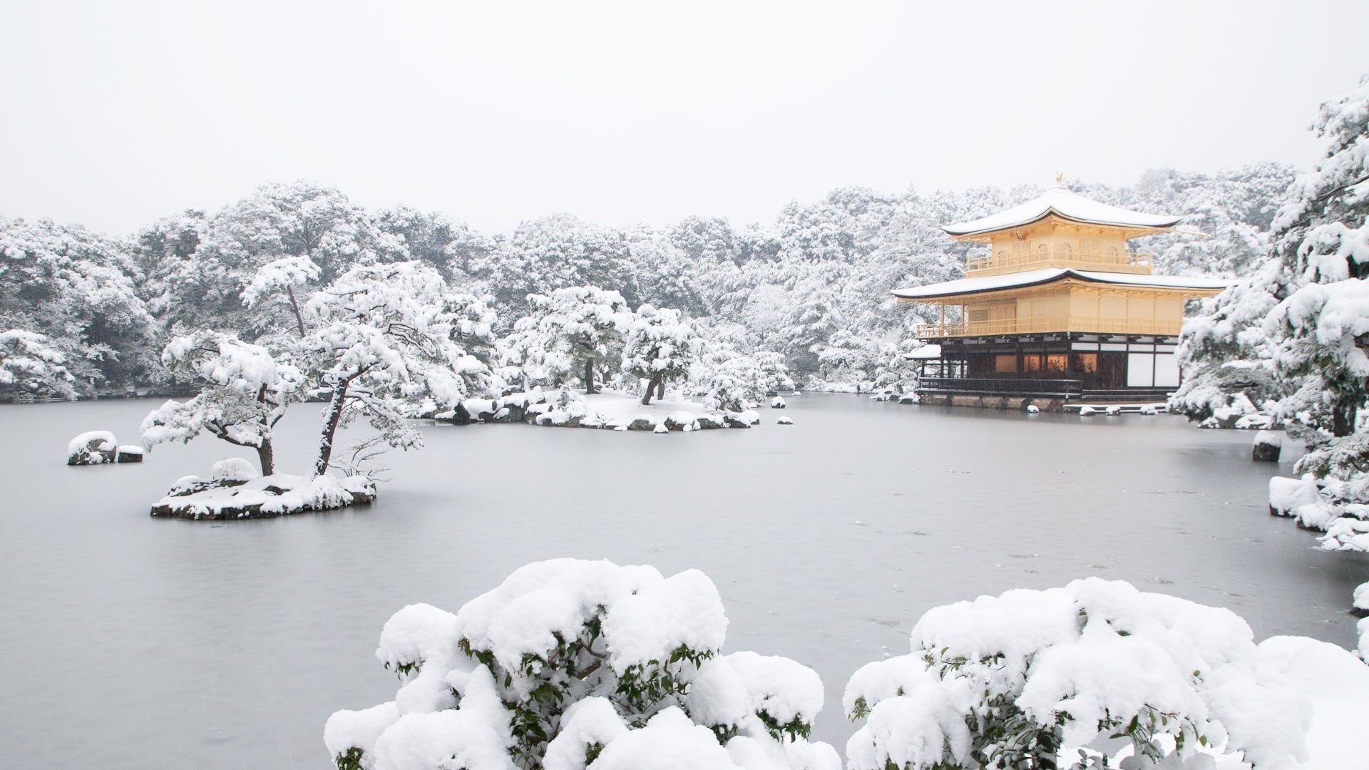 Wallpaper / snow, water, built structure, Kyoto, day, nature, Japan, architecture, frozen, brown, temple, lake, tranquility, tree, plant, cold temperature, no people free download