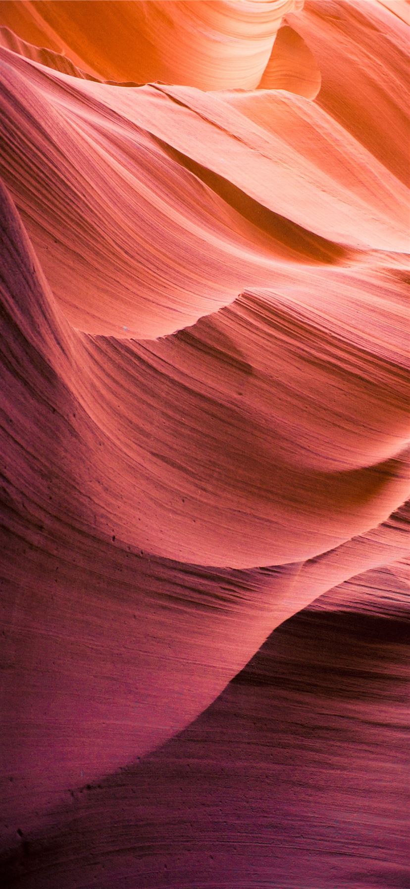 red and maroon wallpaper iPhone 11 Wallpaper Free Download