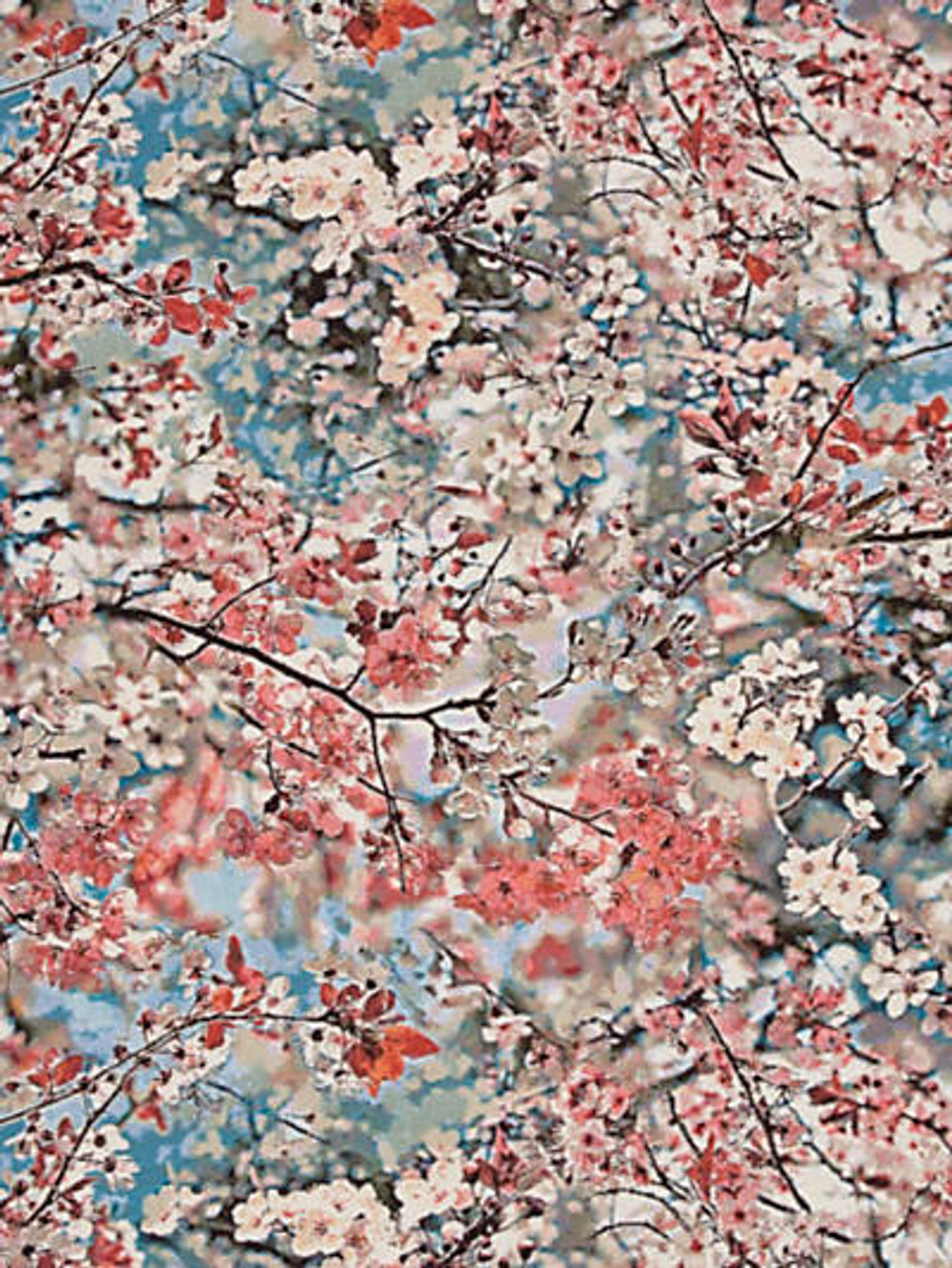 Jean Paul Gaultier Wallcoverings