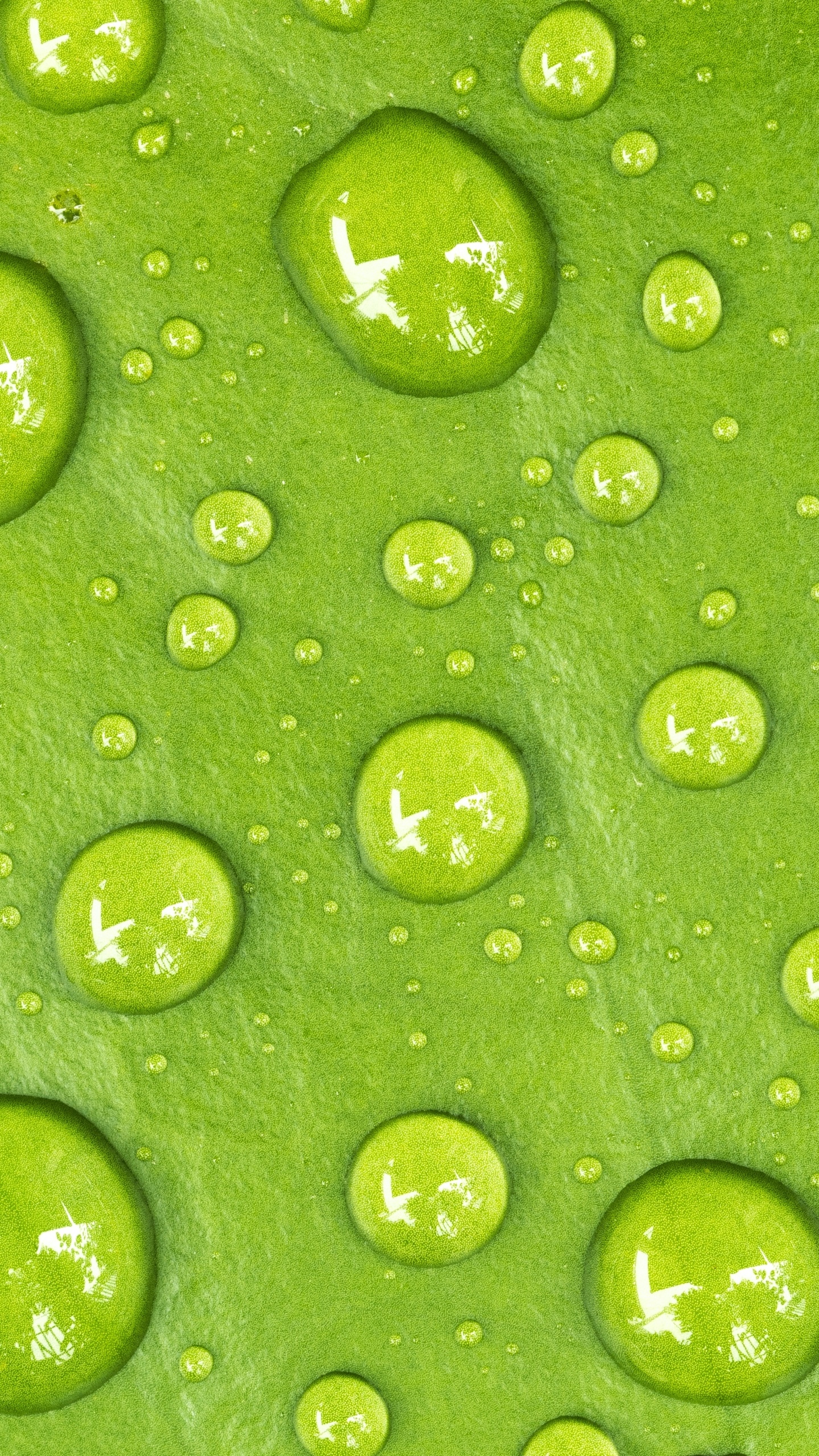 Wallpaper / Earth Water Drop Phone Wallpaper, Macro, Green, Nature, 1440x2560 free download