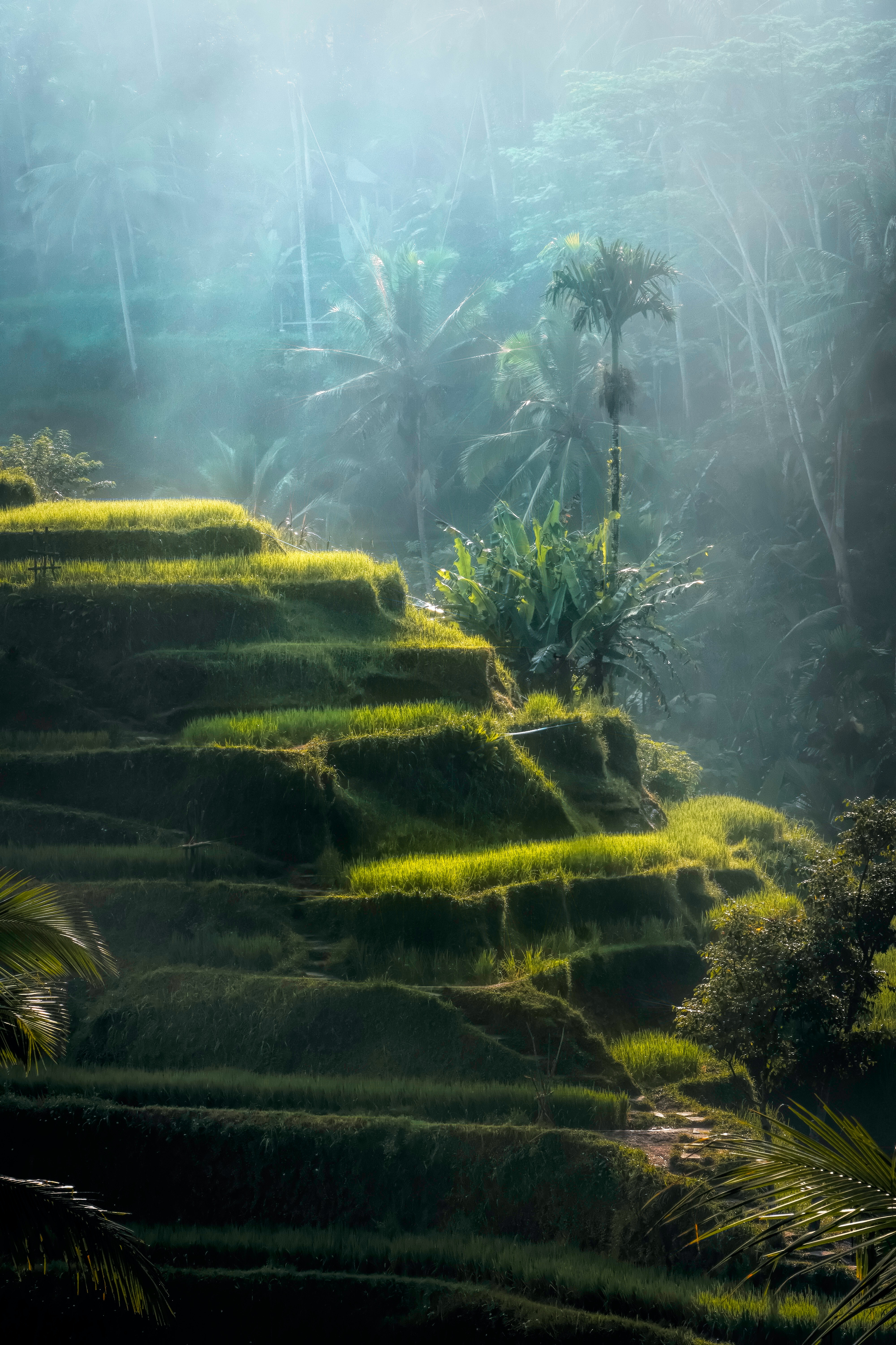 Bali Photo, Download The BEST Free Bali & HD Image