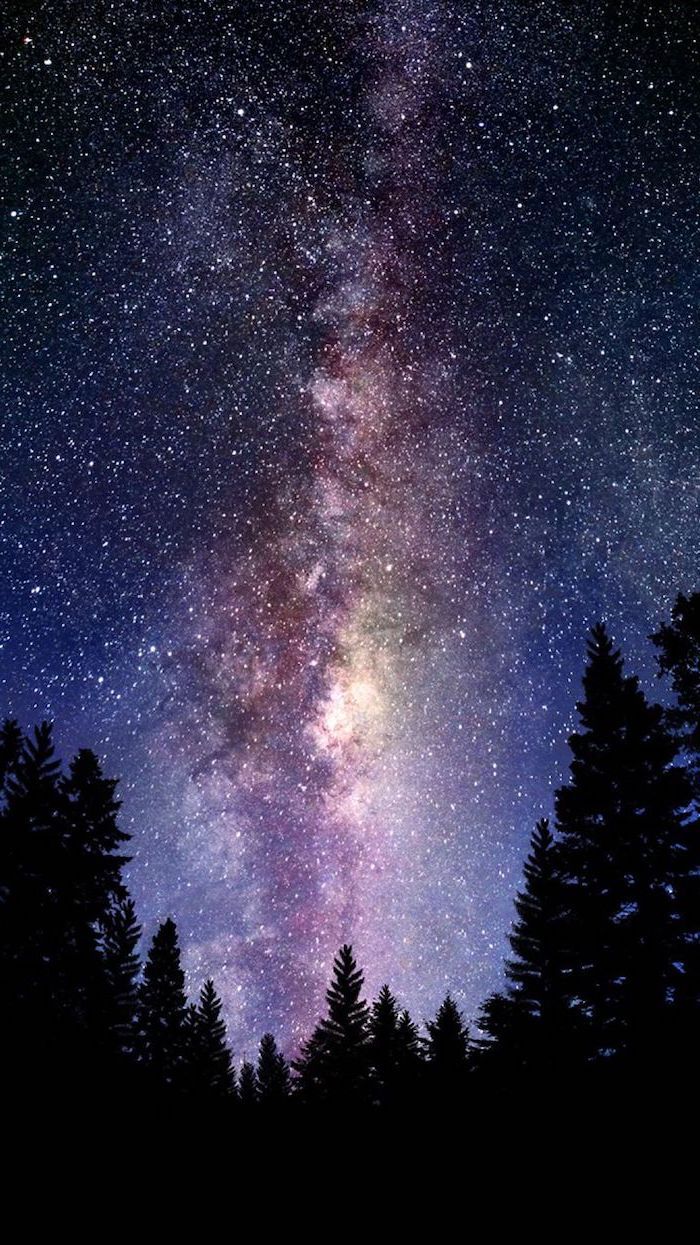 Free download tall trees forest landscape galaxy wallpaper 4k star filled sky [700x1245] for your Desktop, Mobile & Tablet. Explore Galaxy Tree Wallpaper. Xmas Tree Wallpaper, Pine Tree Background