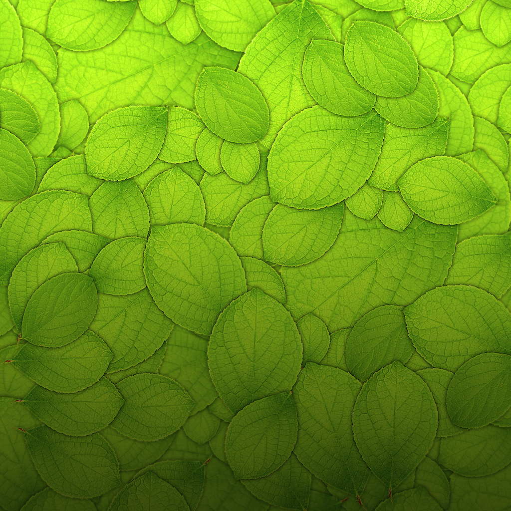 Green leaves texture iPad wallpaper