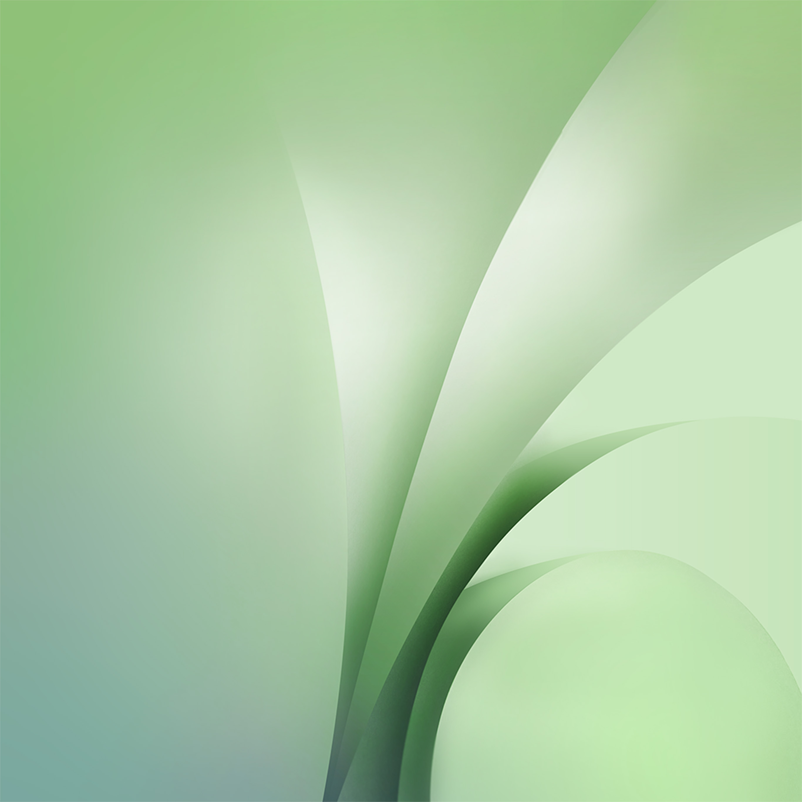 Green Inspired Wallpaper For IPad And IPhone XS Max