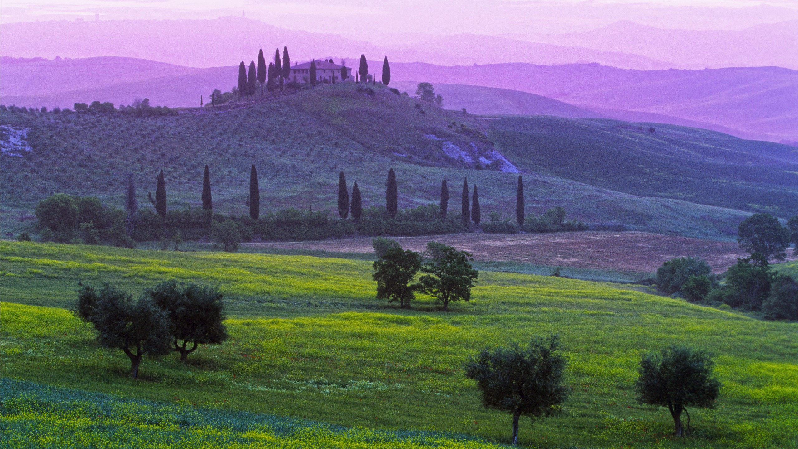 Wallpaper Tuscany, 5k, 4k wallpaper, 8k, Italy, Podere Belvedere Hotel, fields, meadows, villages, green, nature, booking, rest, travel, Nature