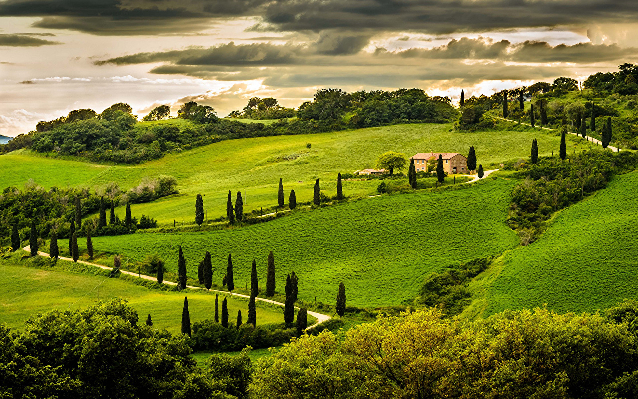 Picture Italy Umbria Nature Grasslands landscape photography