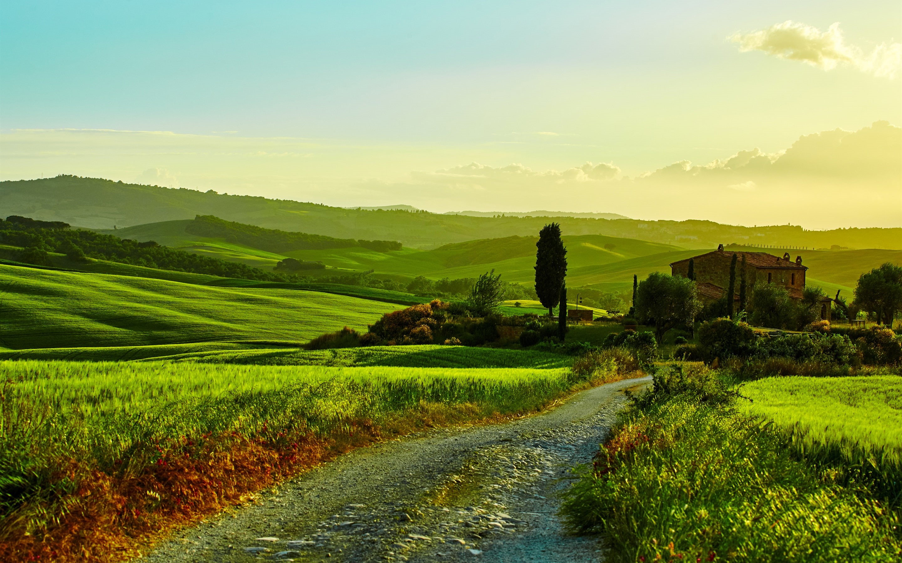 Wallpaper / Trees, Landscape, Italy, Fields, Beautiful, Road, 2K, House, Grass, Tuscany free download