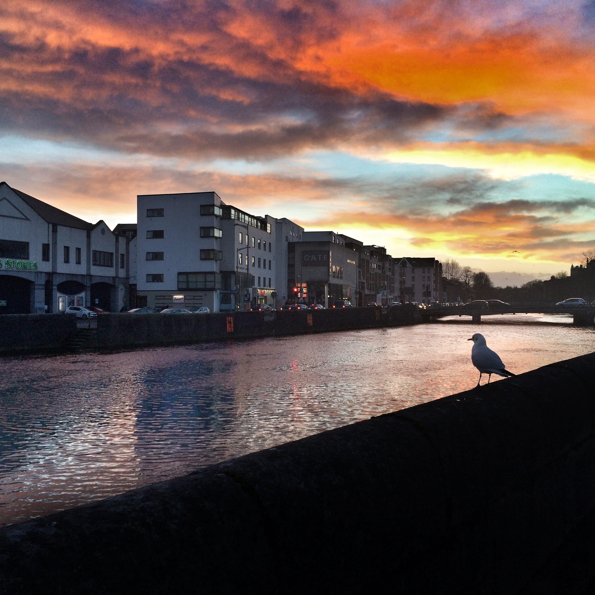 Wallpaper / built structure, no people, nature, building, sunset, cork city, outdoors, architecture, animals in the wild, city scape, vertebrate, river, water, bird free download