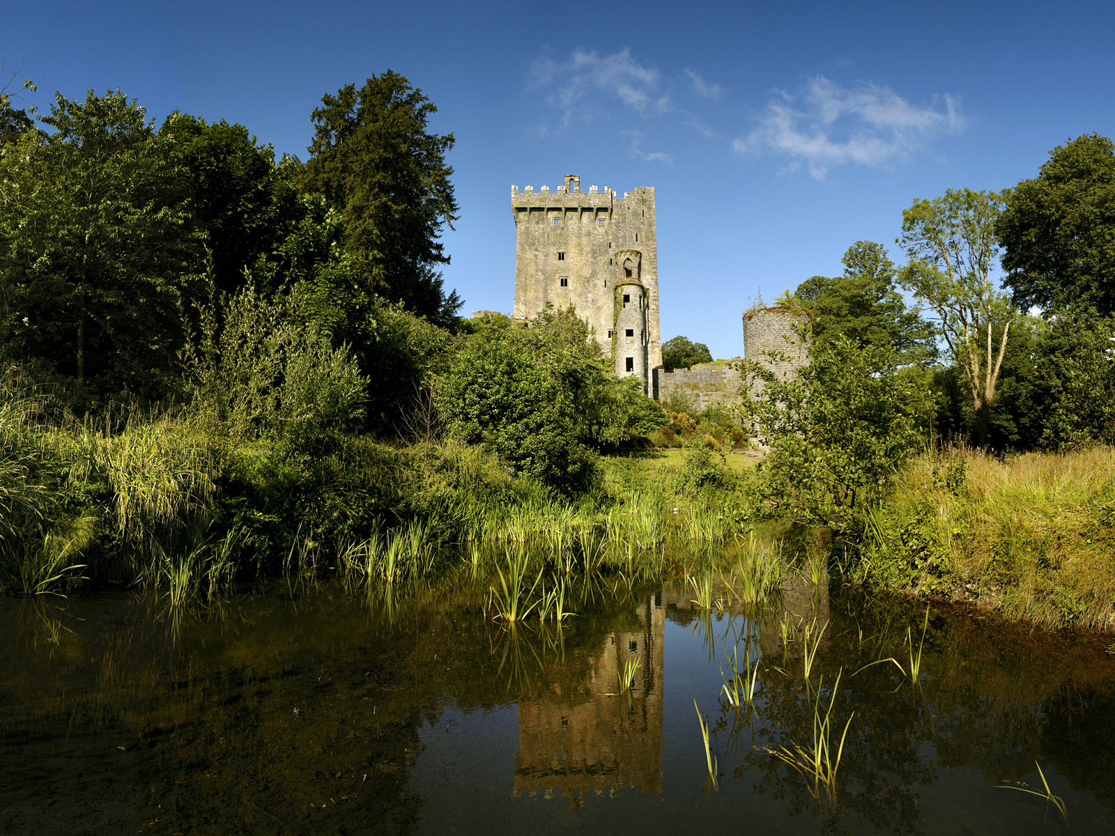 Wallpaper Blarney Castle, County Cork, Ireland castle Cities