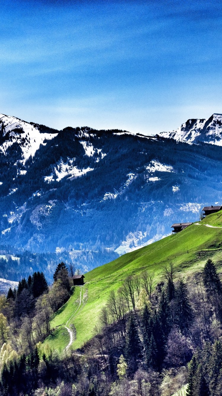 Austria, Mountains, Slope, Trees, Village, Blue Sky 750x1334 IPhone 8 7 6 6S Wallpaper, Background, Picture, Image