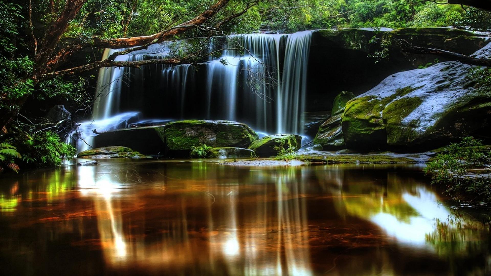 Nature Landscape Waterfall Dry Wood Rocks Pool Moss Clear Water Sunlight Reflecting In Water Desktop Wallpaper HD 1920x1080, Wallpaper13.com