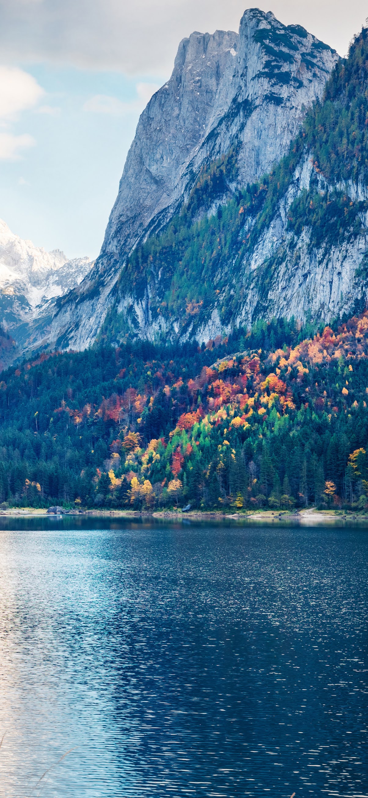 Austria Lake Wallpaper Mobile Walls