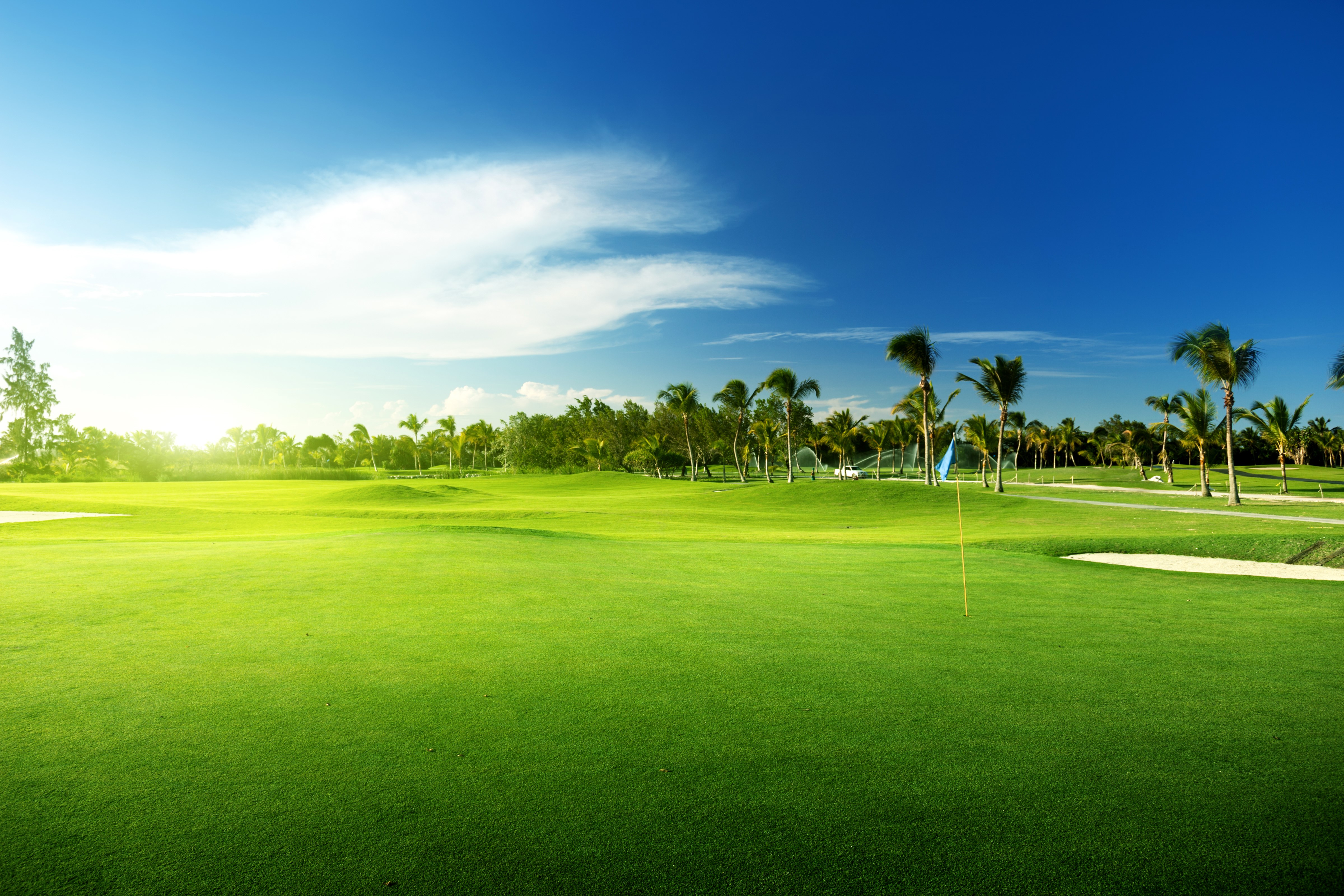4K, Scenery, Fields, Sky, Golf, Lawn, Palms Gallery HD Wallpaper