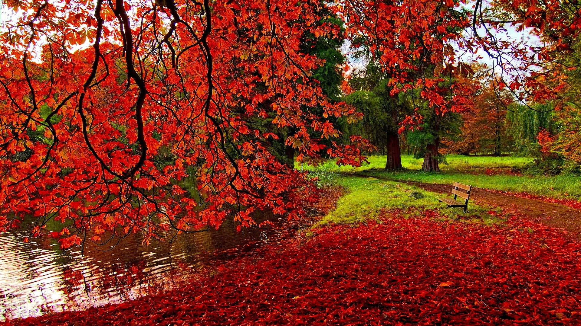 Download Enjoy the warm comfort of fall with this cozy desktop wallpaper. Wallpaper