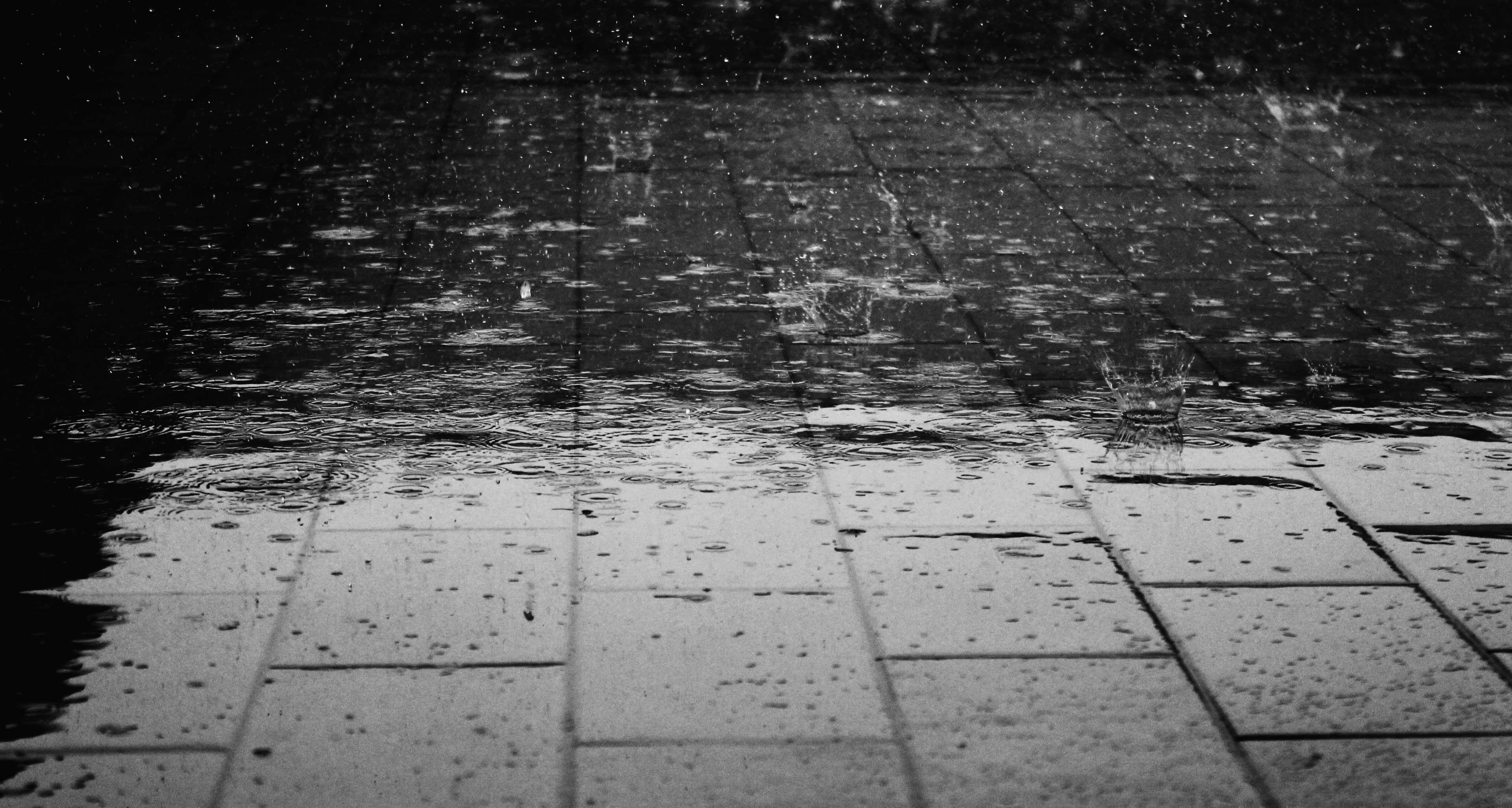black and white, floor, pavement, rain, raindrops, wet 4k Gallery HD Wallpaper