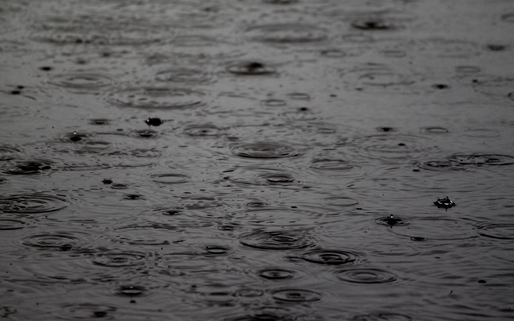 Photography Rain Wallpaper