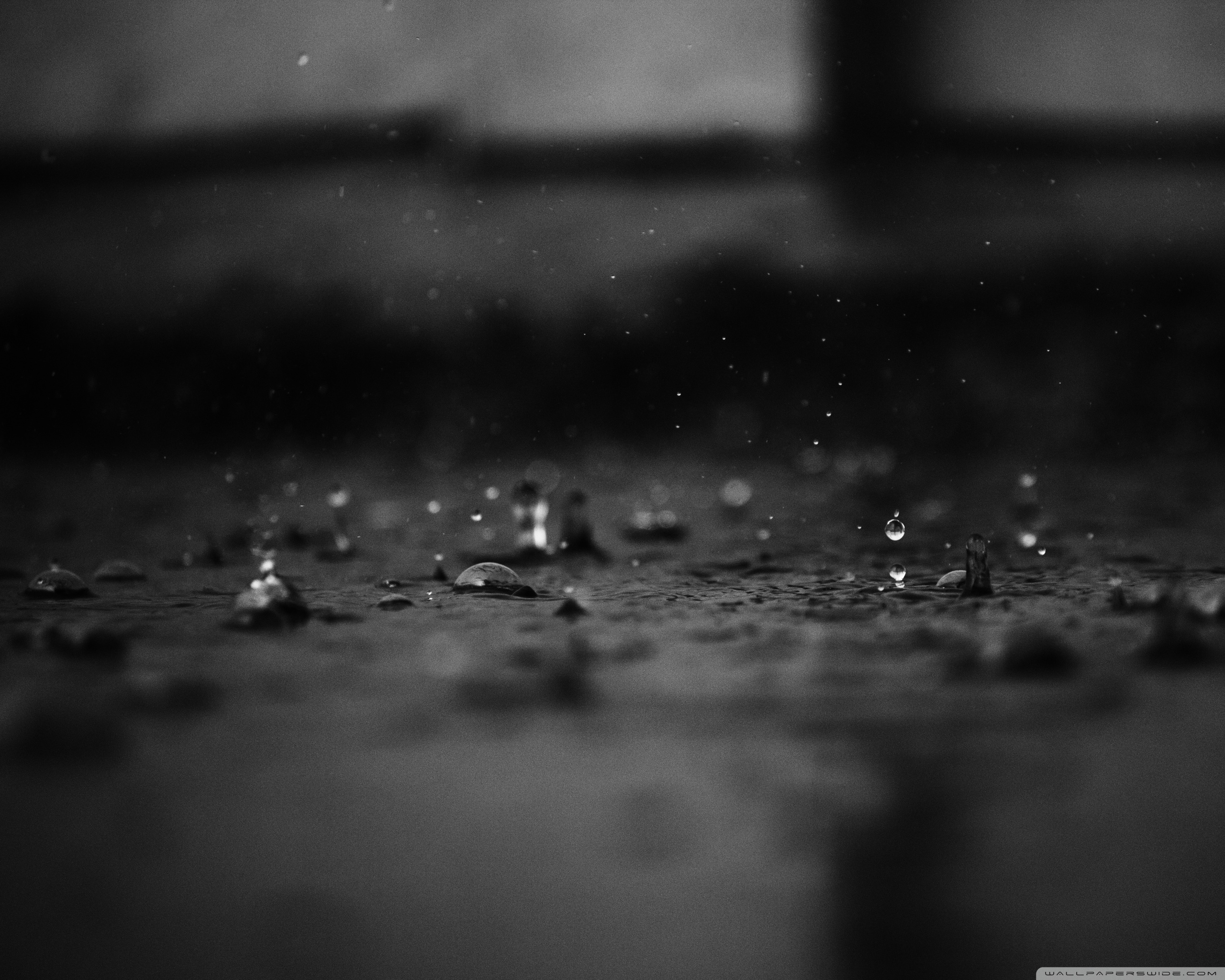 Rain Drops Ultra HD Desktop Background Wallpaper for 4K UHD TV, Widescreen & UltraWide Desktop & Laptop, Multi Display, Dual Monitor, Tablet