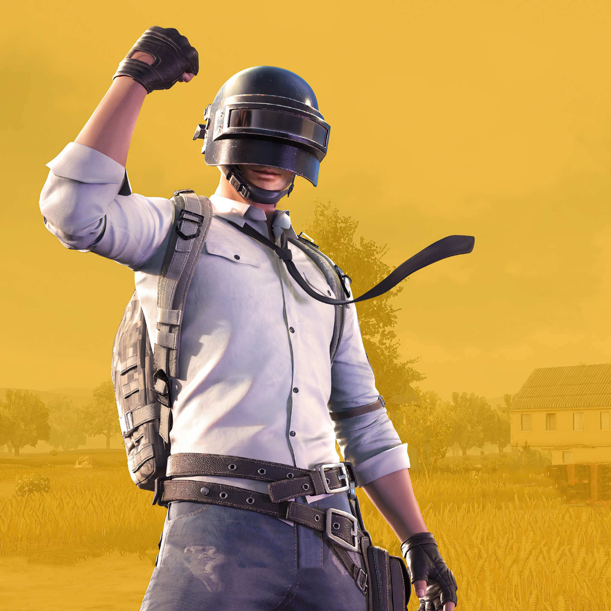 PUBG Wallpaper 4K