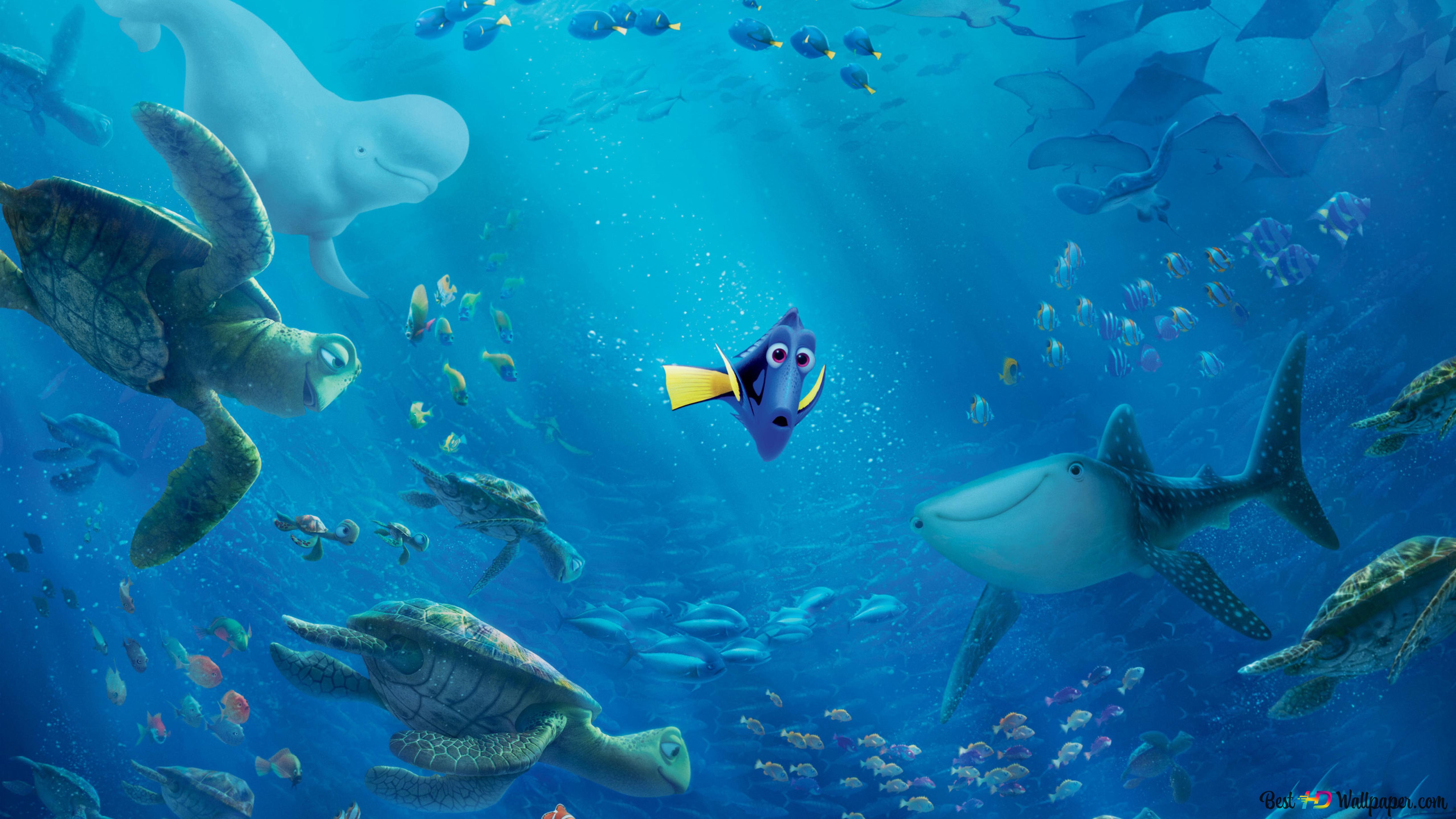 Dory from Finding Dory 4K wallpaper download