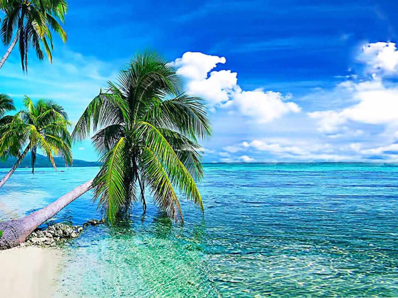Summer Background, Tropical Beach With Palmi.okean With Crystal Clear Water And White Clouds In The Sky Desktop Wallpaper Download Free 1920x1200, Wallpaper13.com