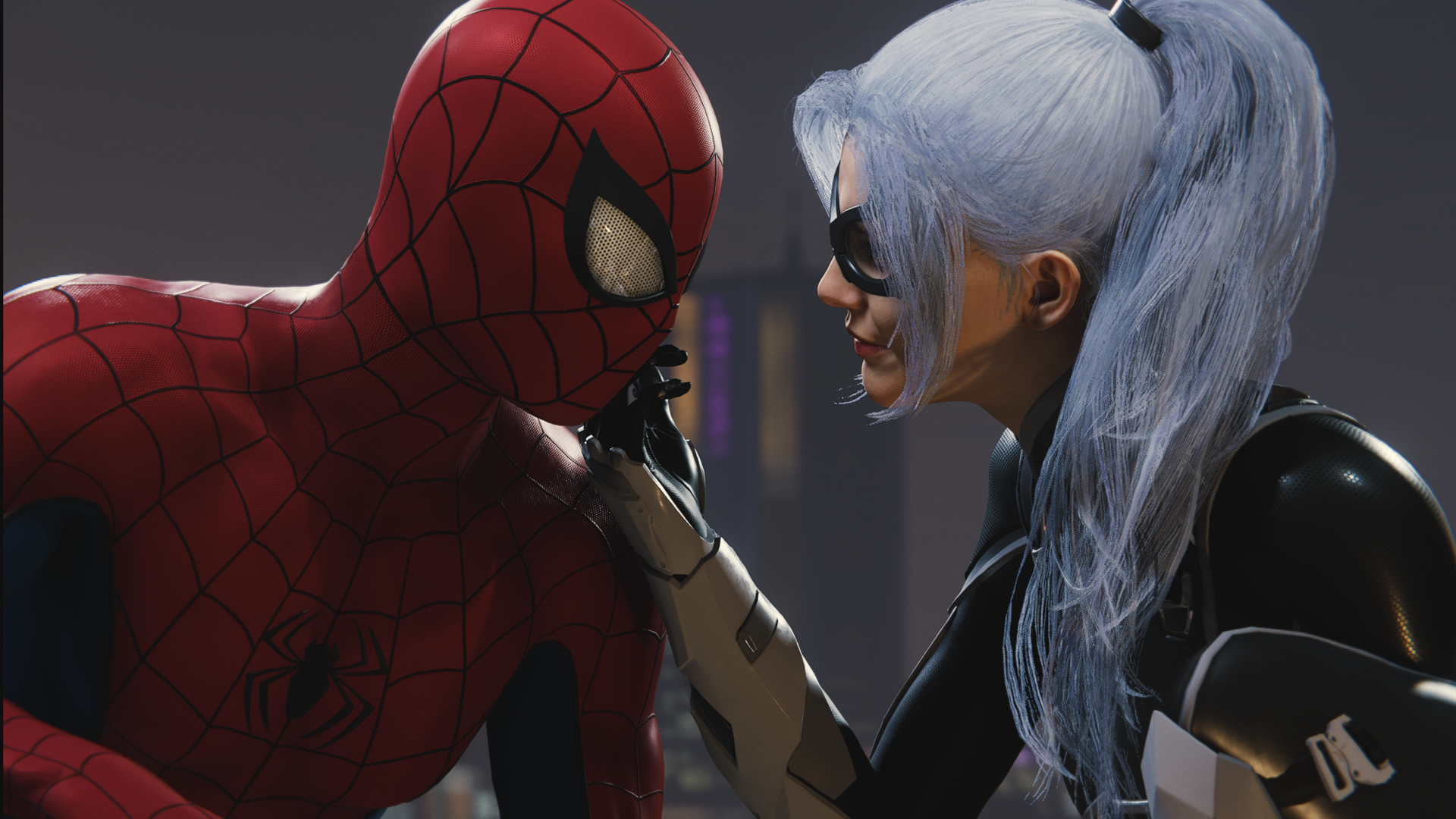 Spider Man And Black Cat