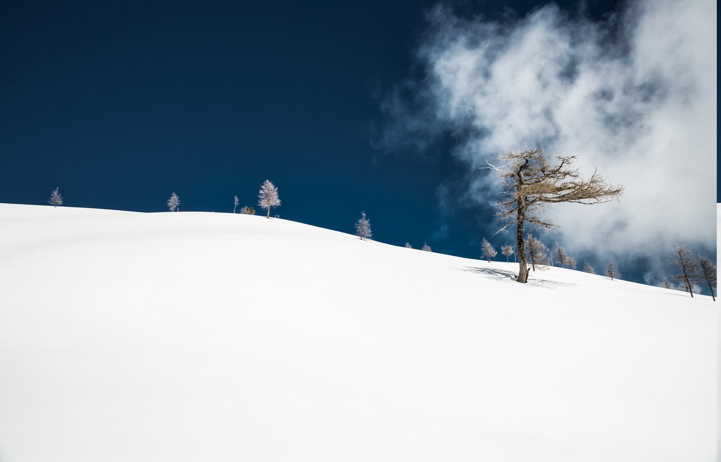 Wallpaper, trees, landscape, nature, minimalism, snow, winter, clouds, Freezing, skiing, Ski, cloud, weather, season, piste, blizzard, mountain range, ski equipment, 2398x1538 px 2398x1538