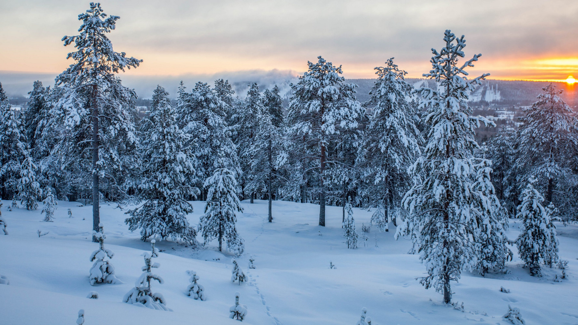 Download wallpaper winter, forest, sunset, Finland, Rovaniemi, section nature in resolution 1920x1080