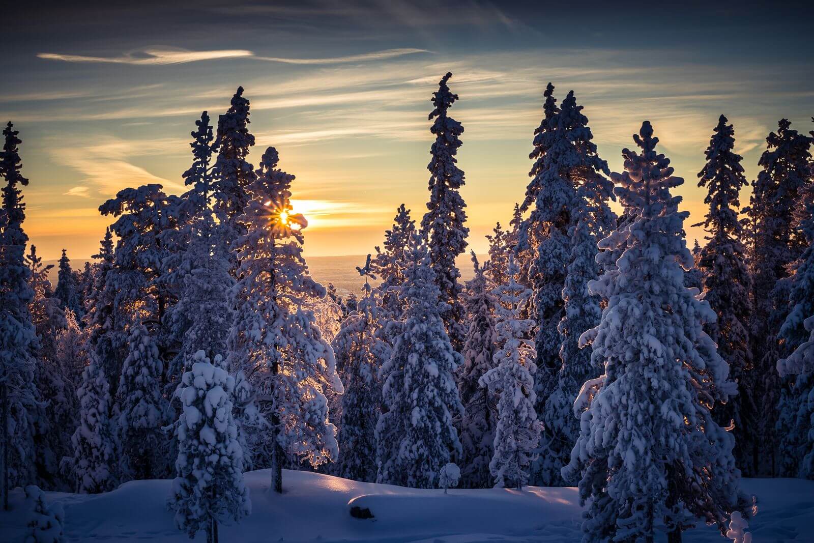 Rovaniemi Winter Spring Tours ❄️