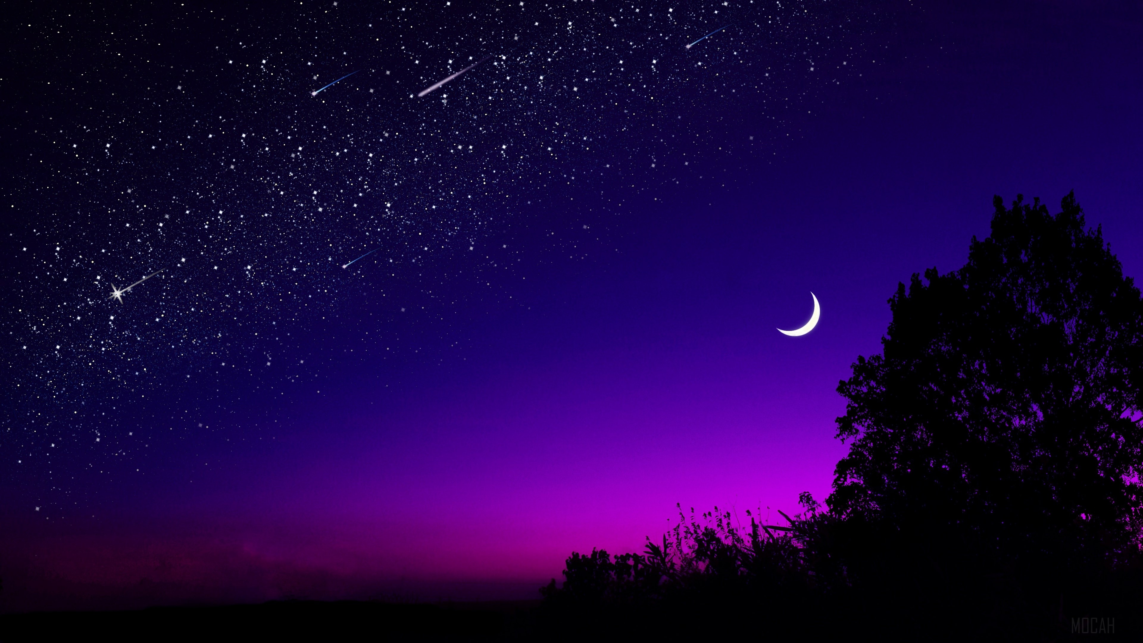 moon, tree, starry sky, night, stars, dark 4k Gallery HD Wallpaper