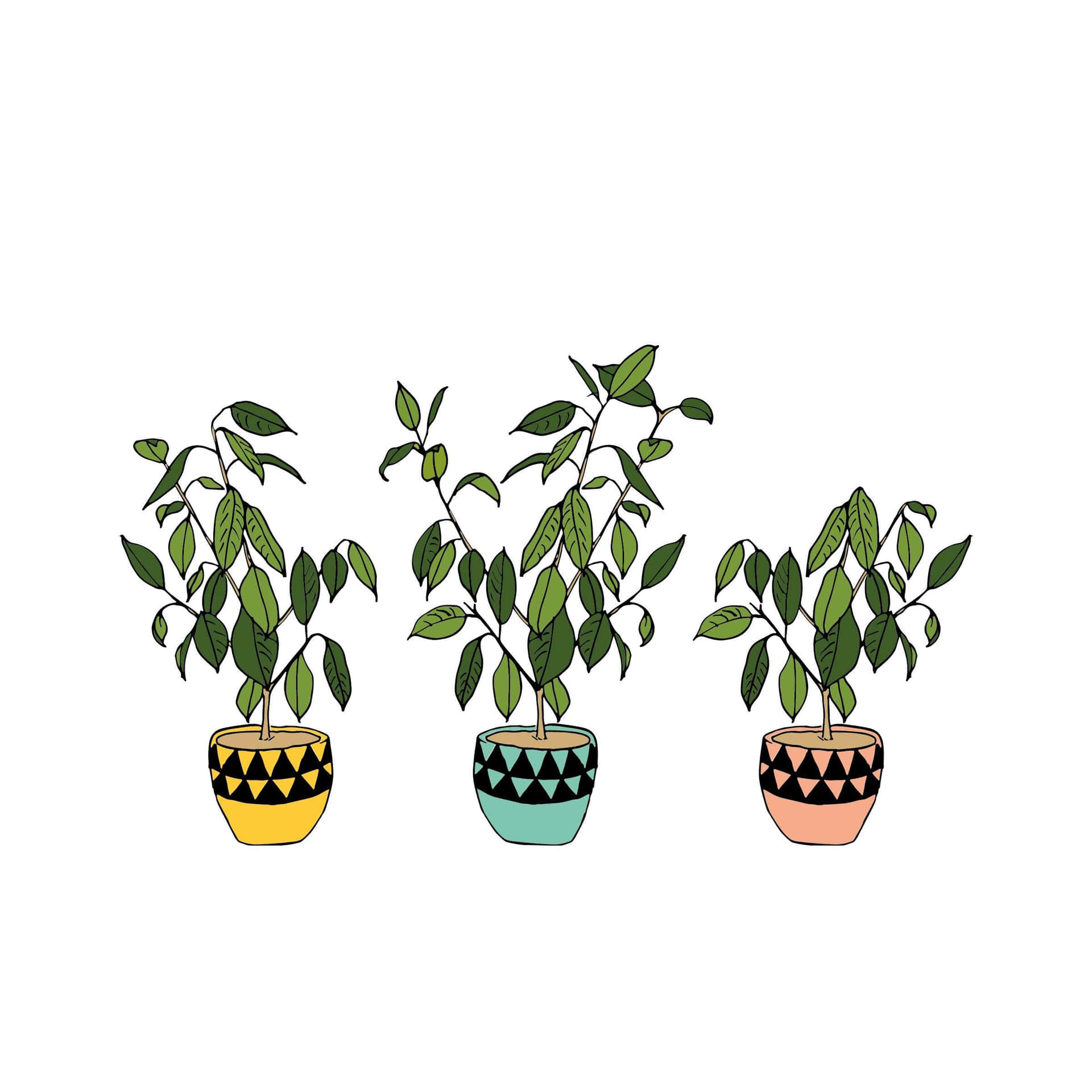 Cute Aesthetic Plant Wallpaper