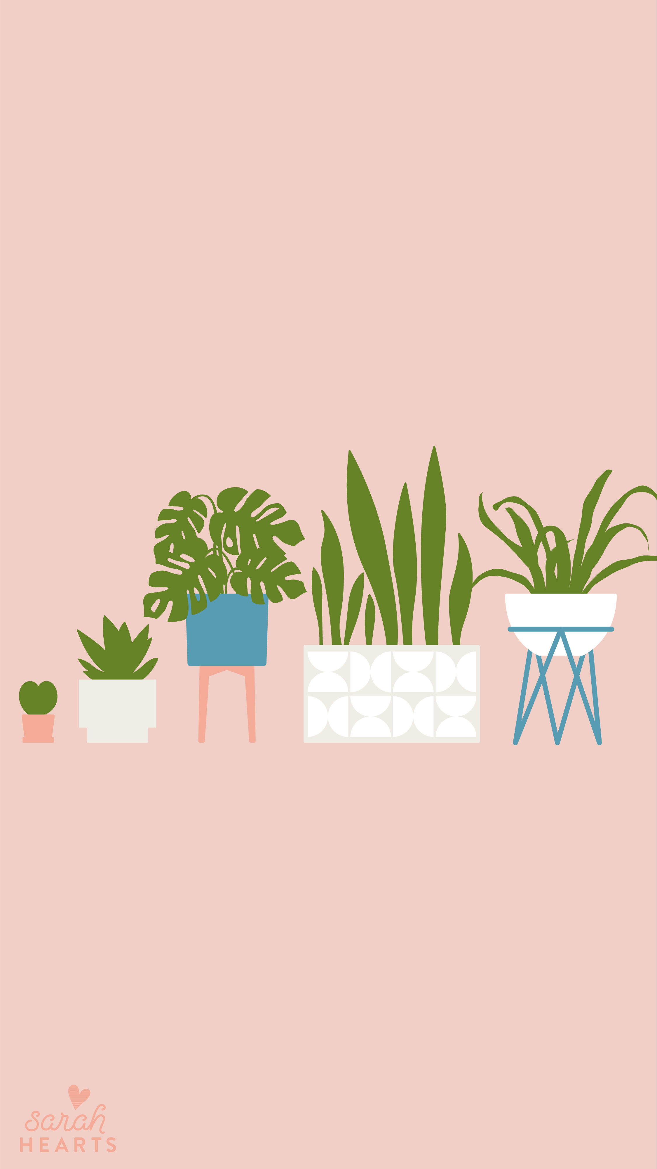 Houseplant August 2019 Calendar Wallpaper
